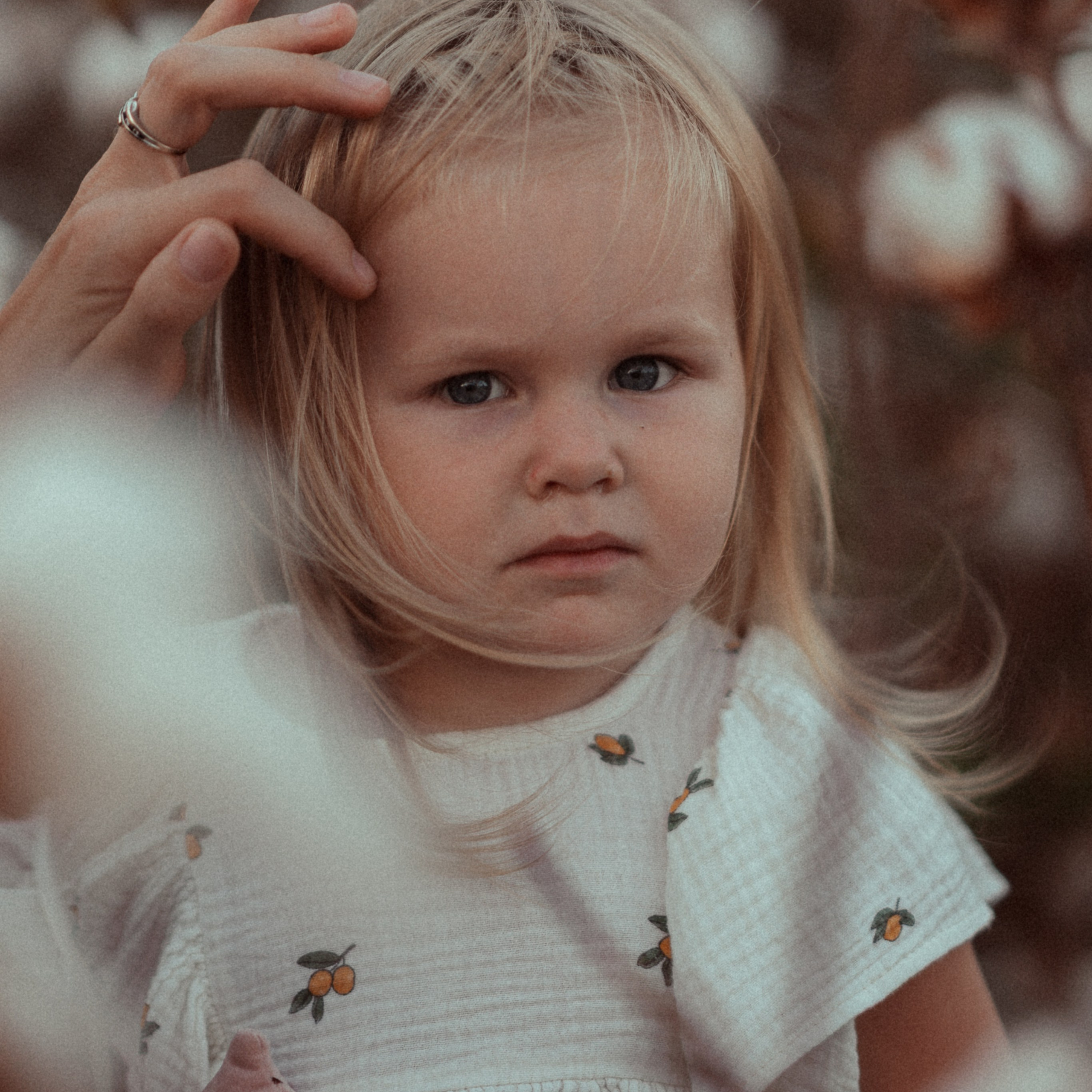 Cotton Fields: Autumn Photoshoots