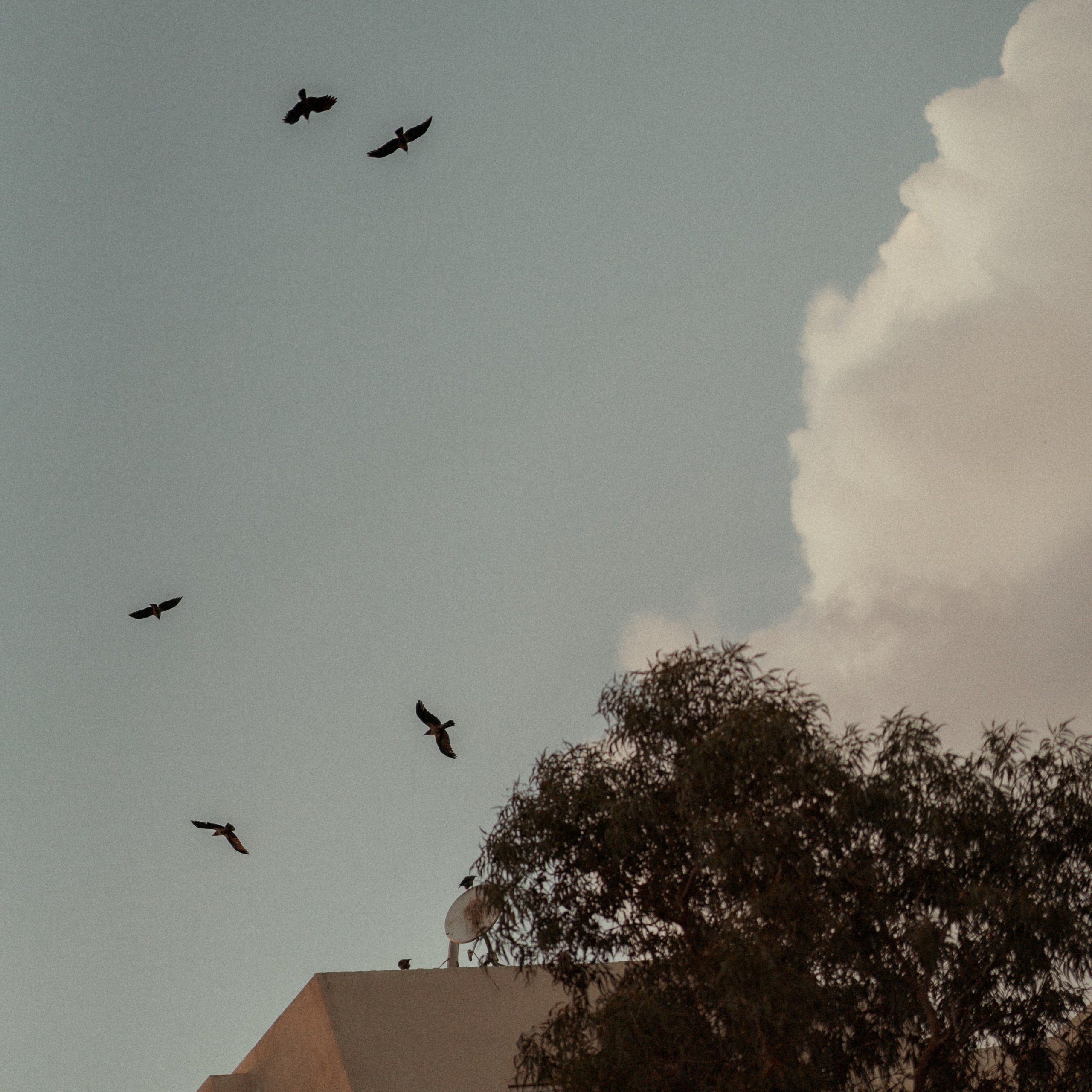 צילום לייף סטייל בפארק כהן, חיפה - טבע אידיאלי לצילום