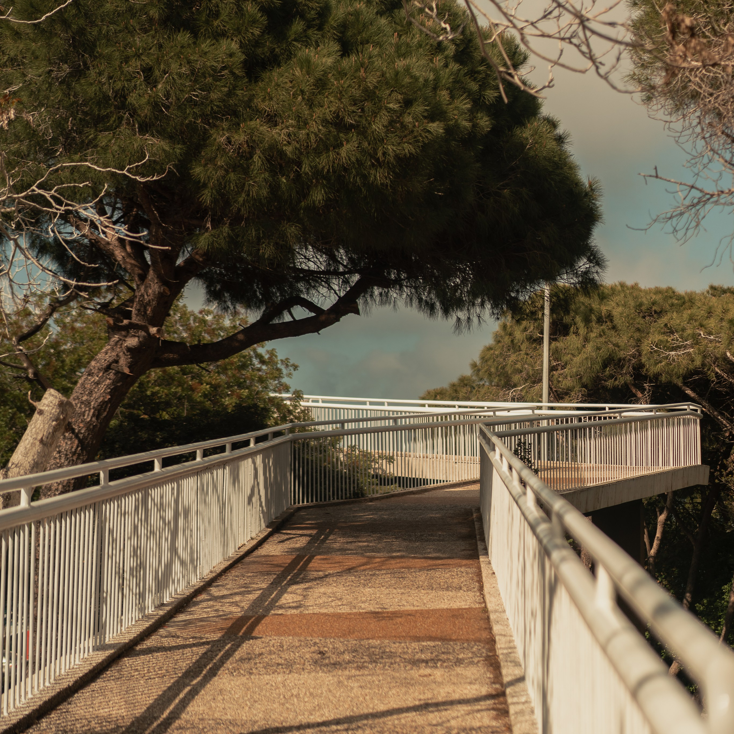 תצפית פרומנד לואי בחיפה: צילום עם נוף עירוני