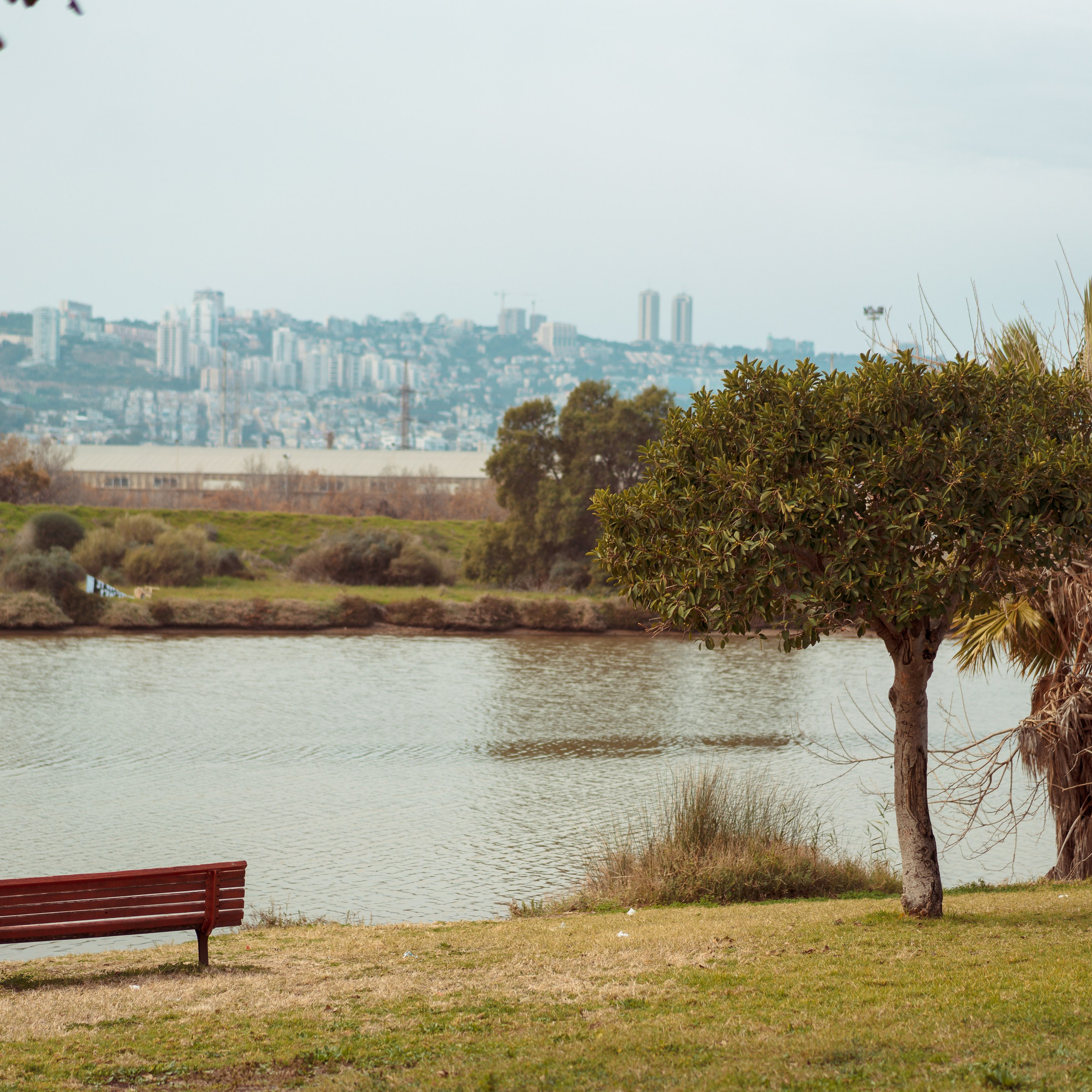 Family Photoshoot in Kishon Park | Capturing Moments in Nature