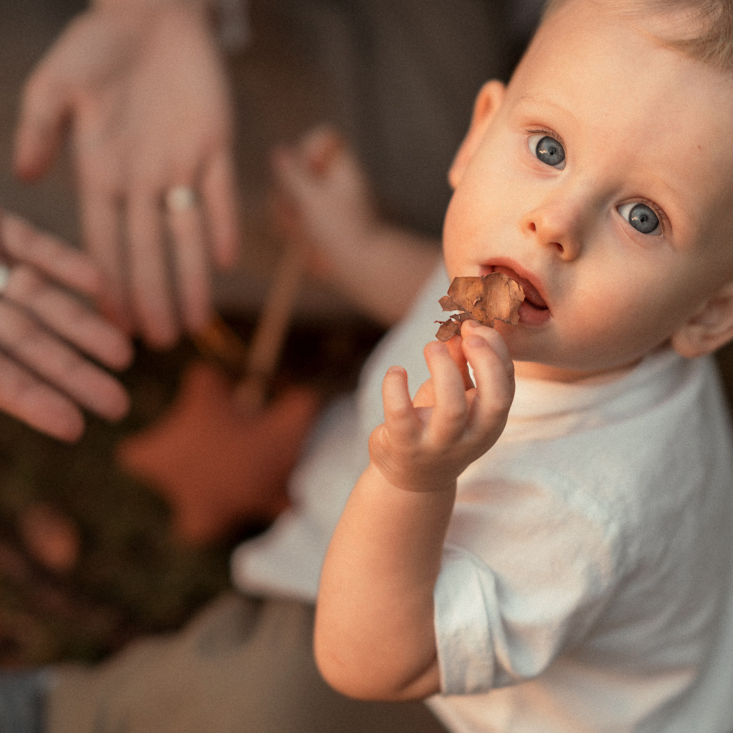 צילום לייף סטייל בפארק כהן, חיפה - טבע אידיאלי לצילום