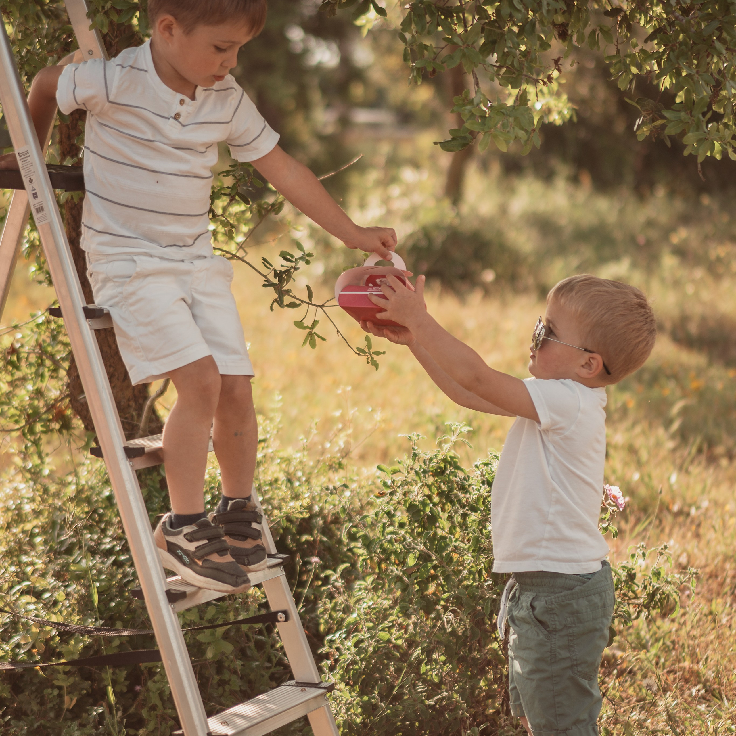 יום הולדת של ארישה: רגעים שמחים במצלמה