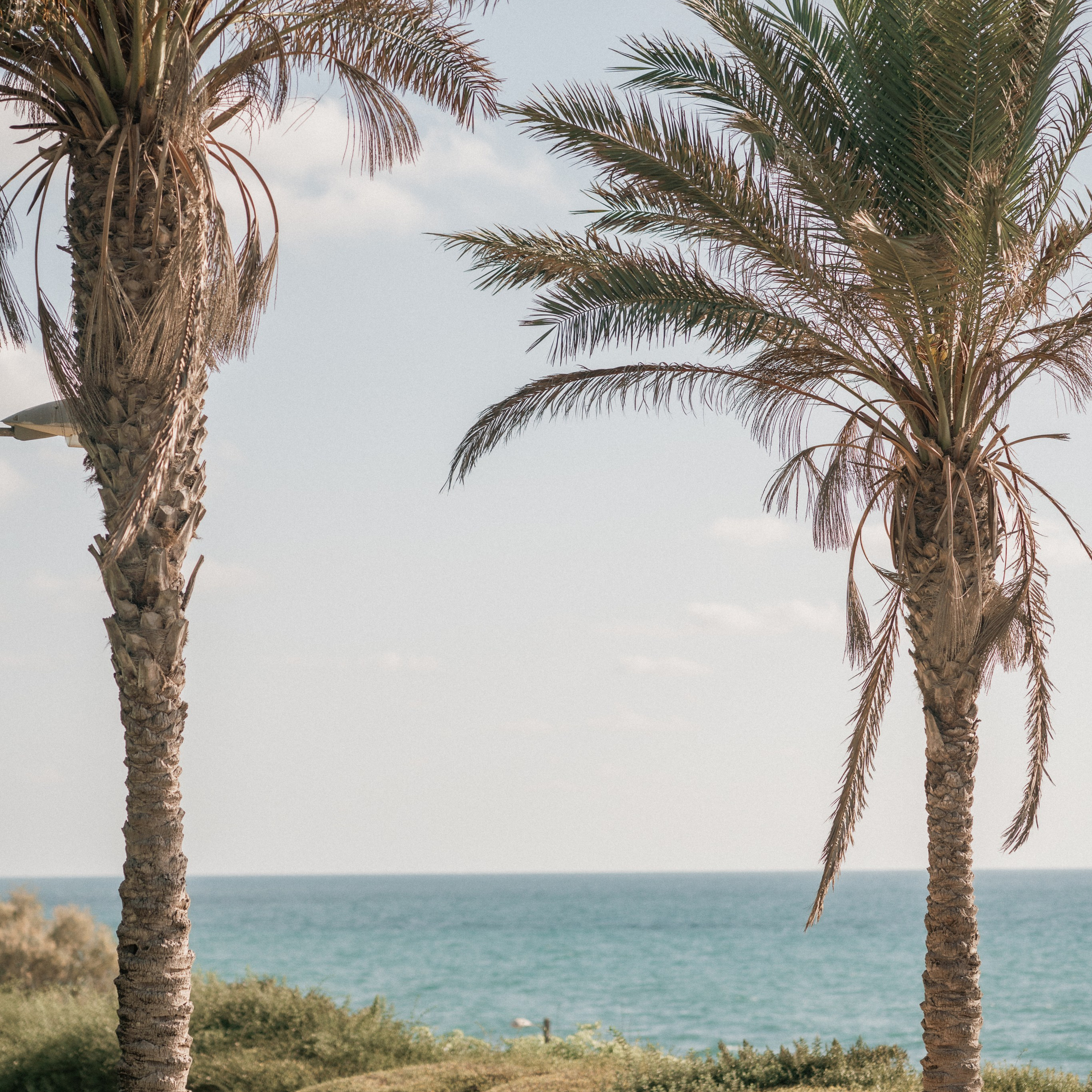 Photoshoots in Geht Park: Green Space for Harmonious Shots