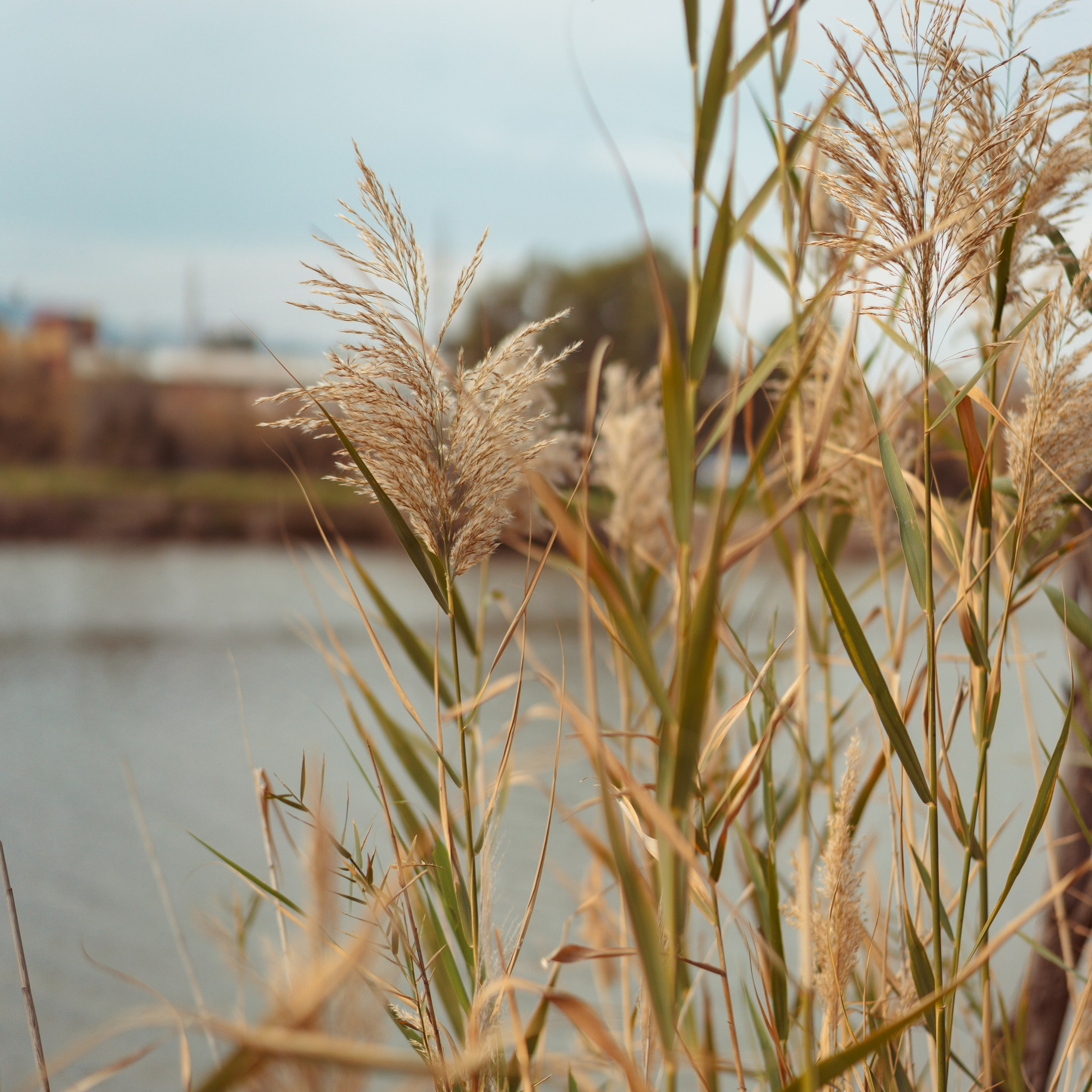 Family Photoshoot in Kishon Park | Capturing Moments in Nature
