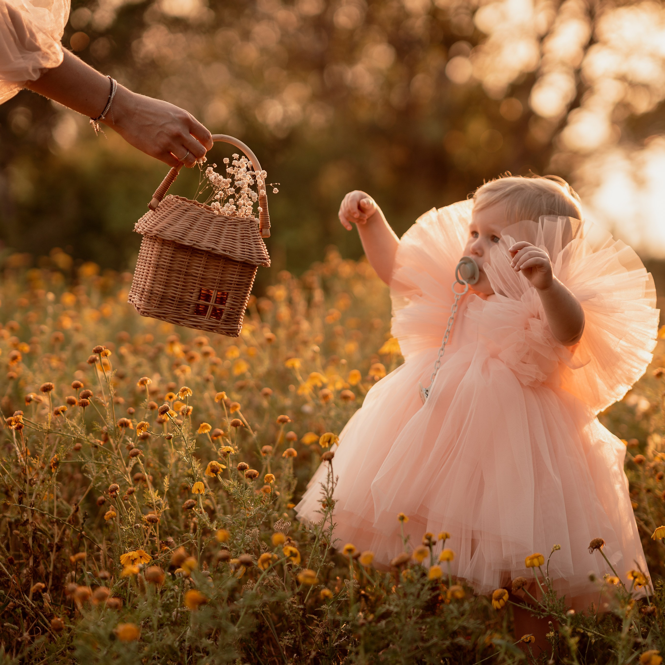 יום הולדת של ארישה: רגעים שמחים במצלמה