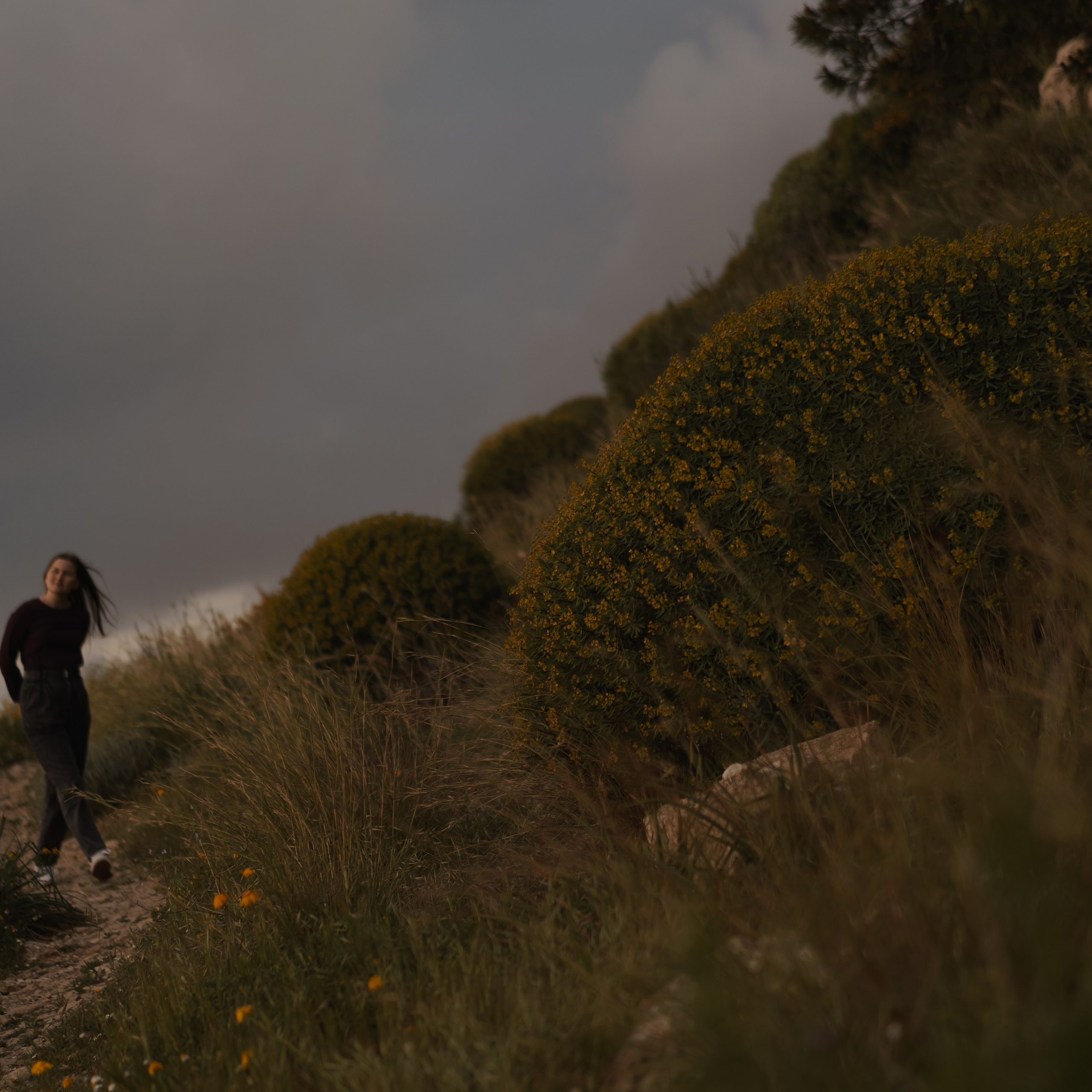 Viewing Platform with a Tree: Ideal for Spring Photoshoots