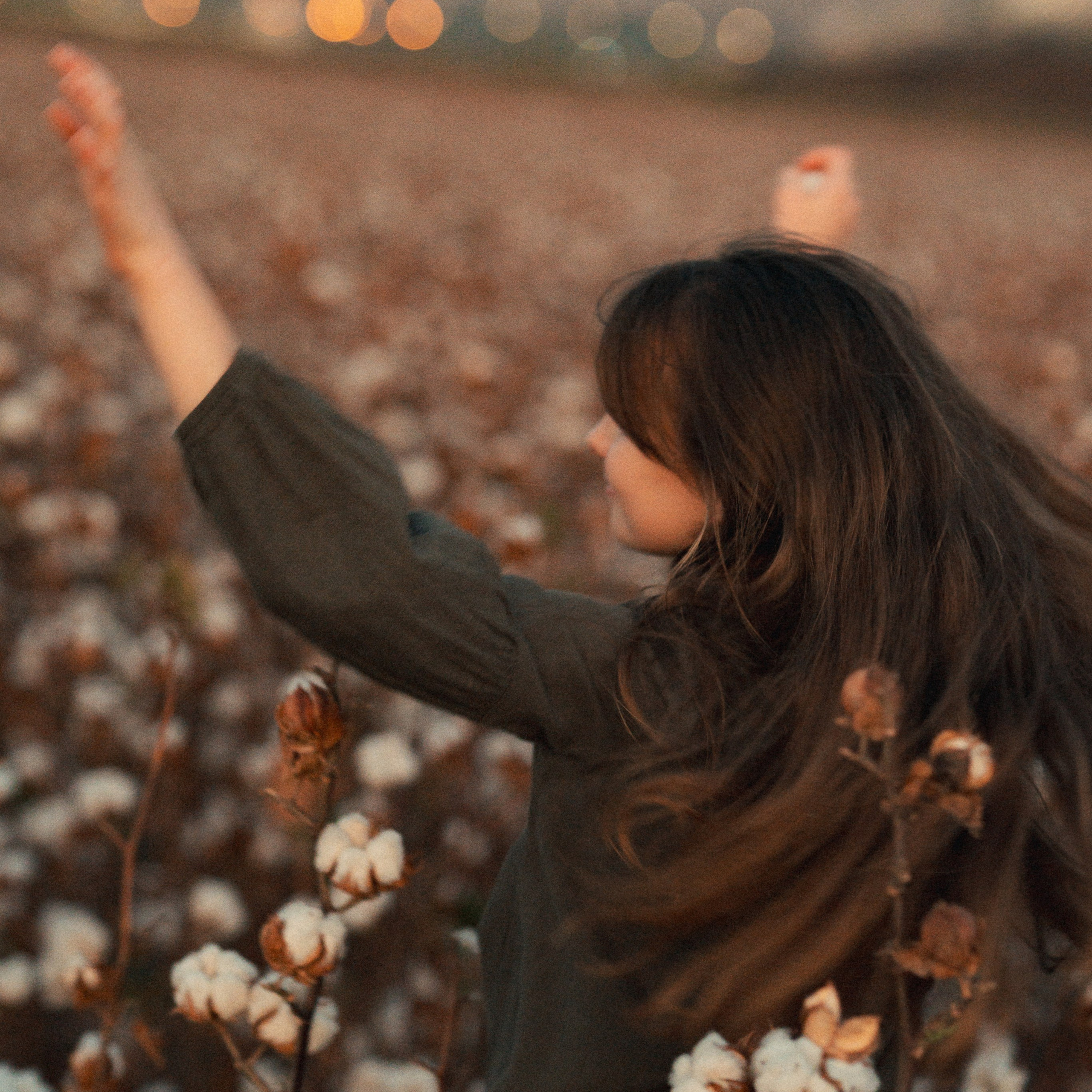 Cotton Fields: Autumn Photoshoots