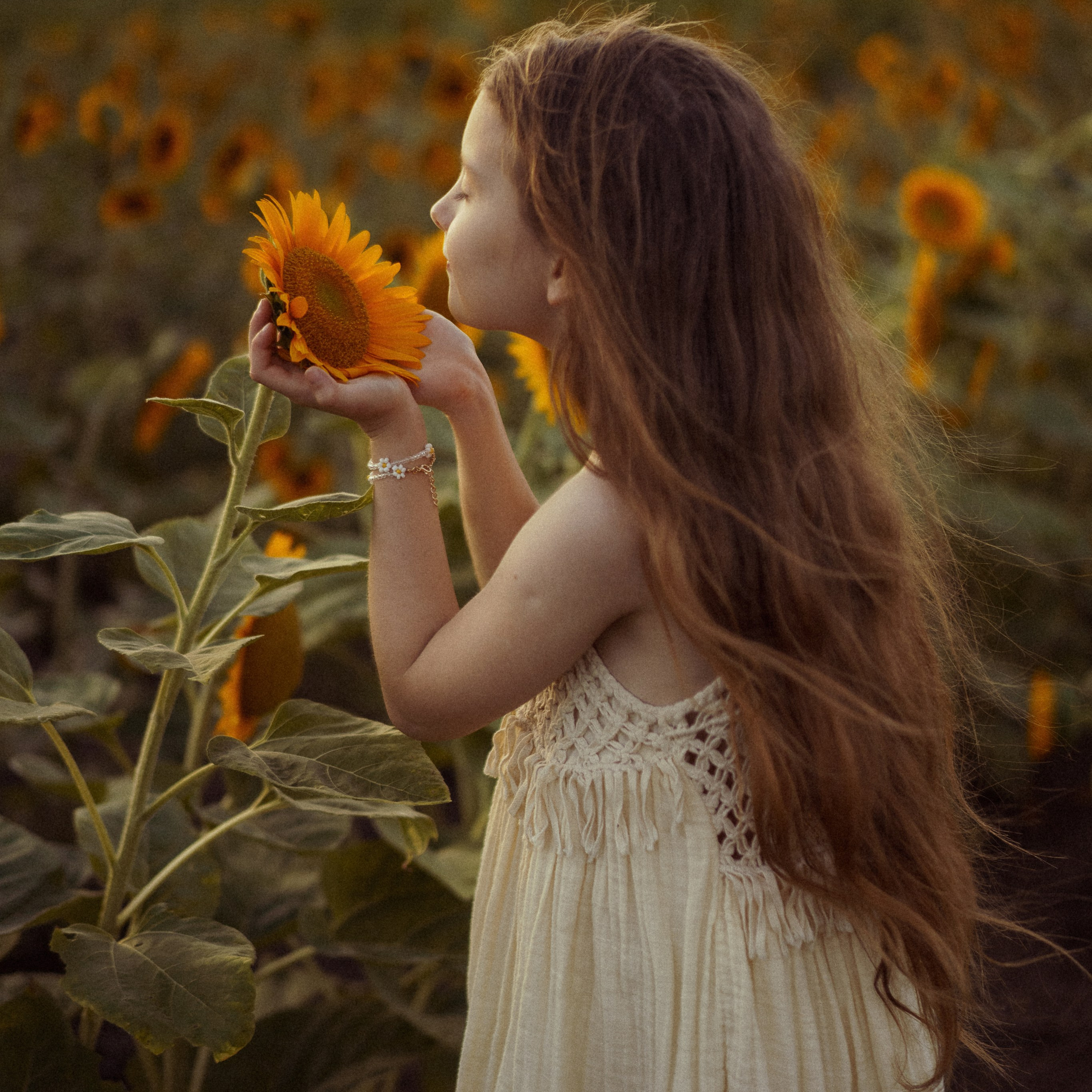 Sunflower Field for Photoshoots: Summer Shoots