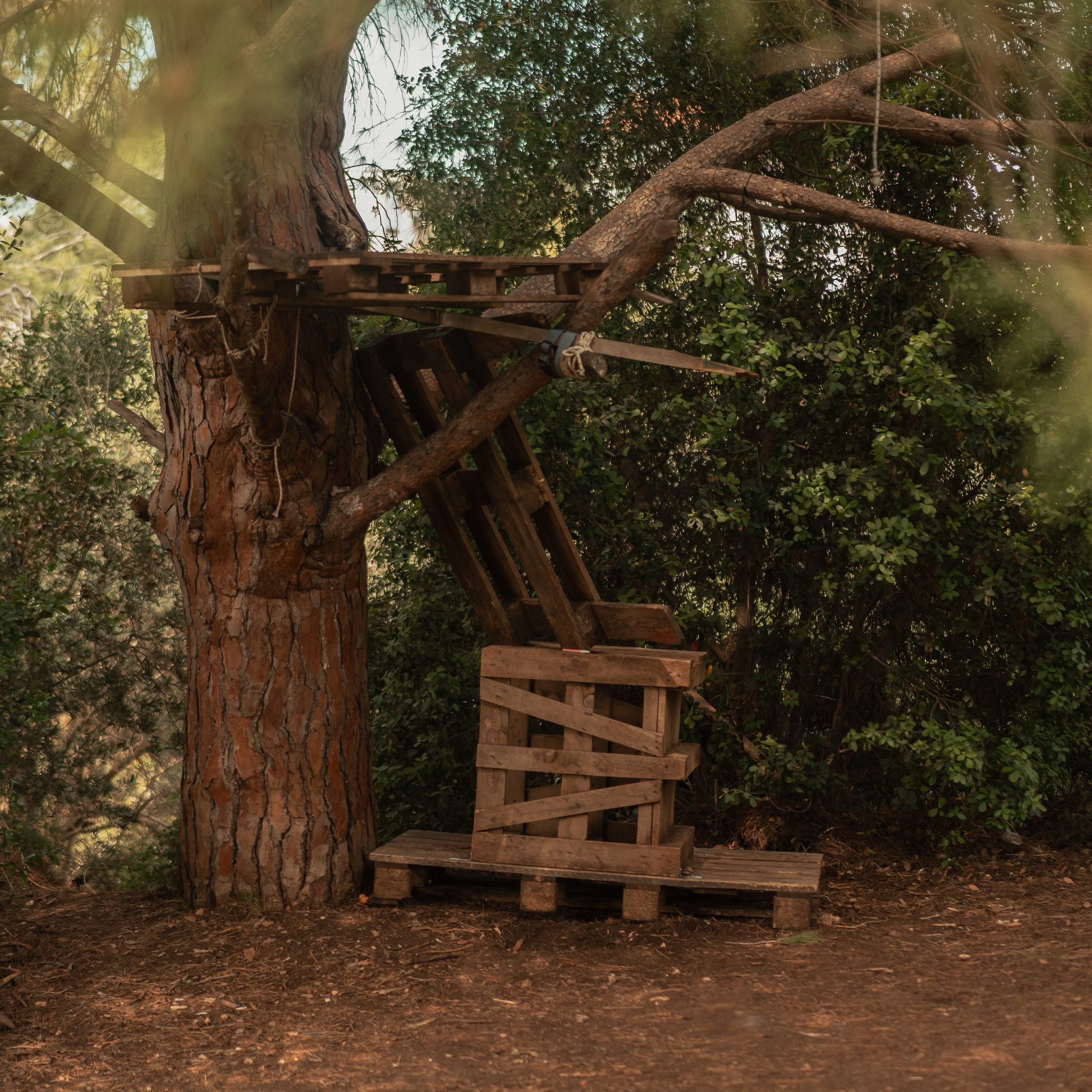 נדנדות לחוויות צילום קלילות וכיפיות