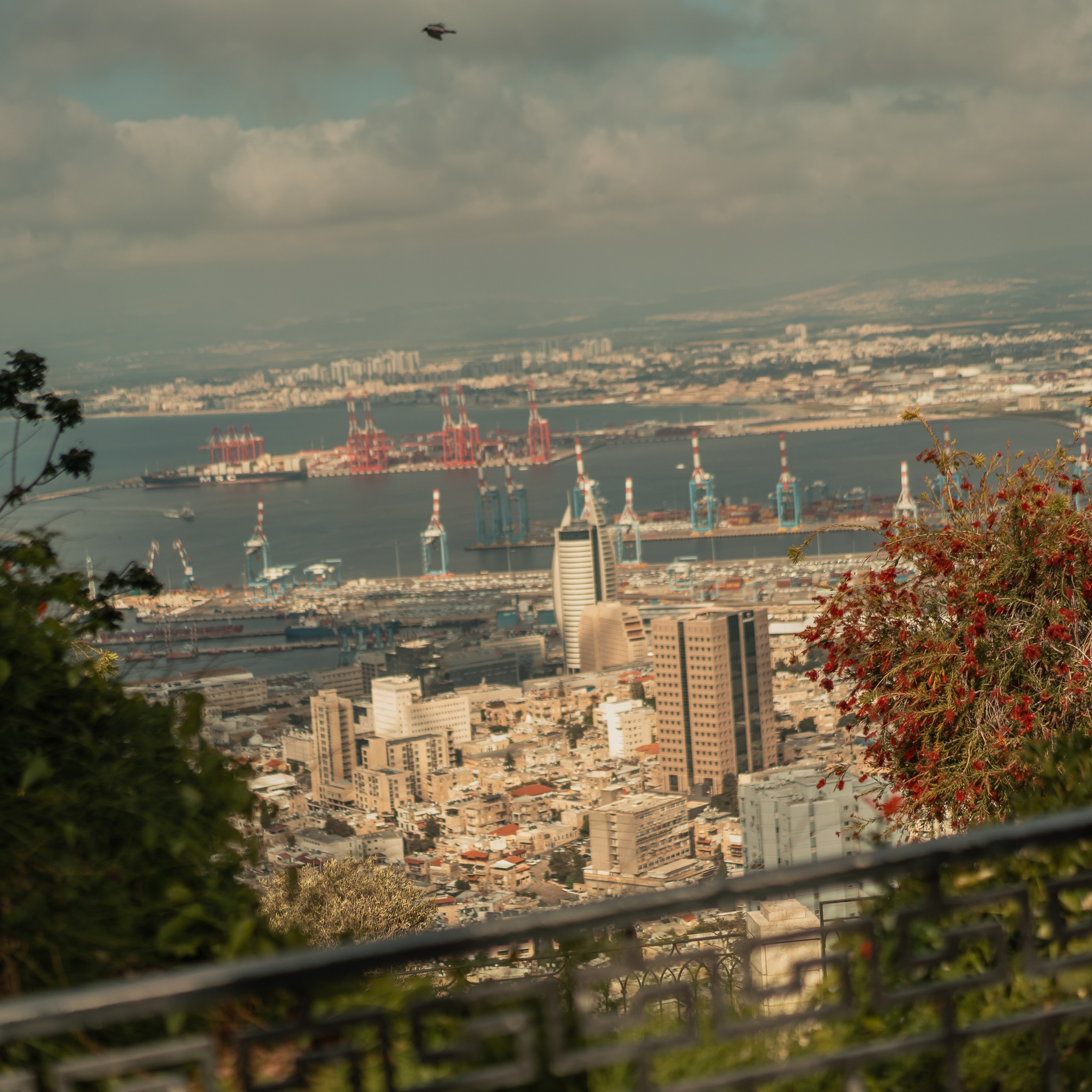 תצפית פרומנד לואי בחיפה: צילום עם נוף עירוני