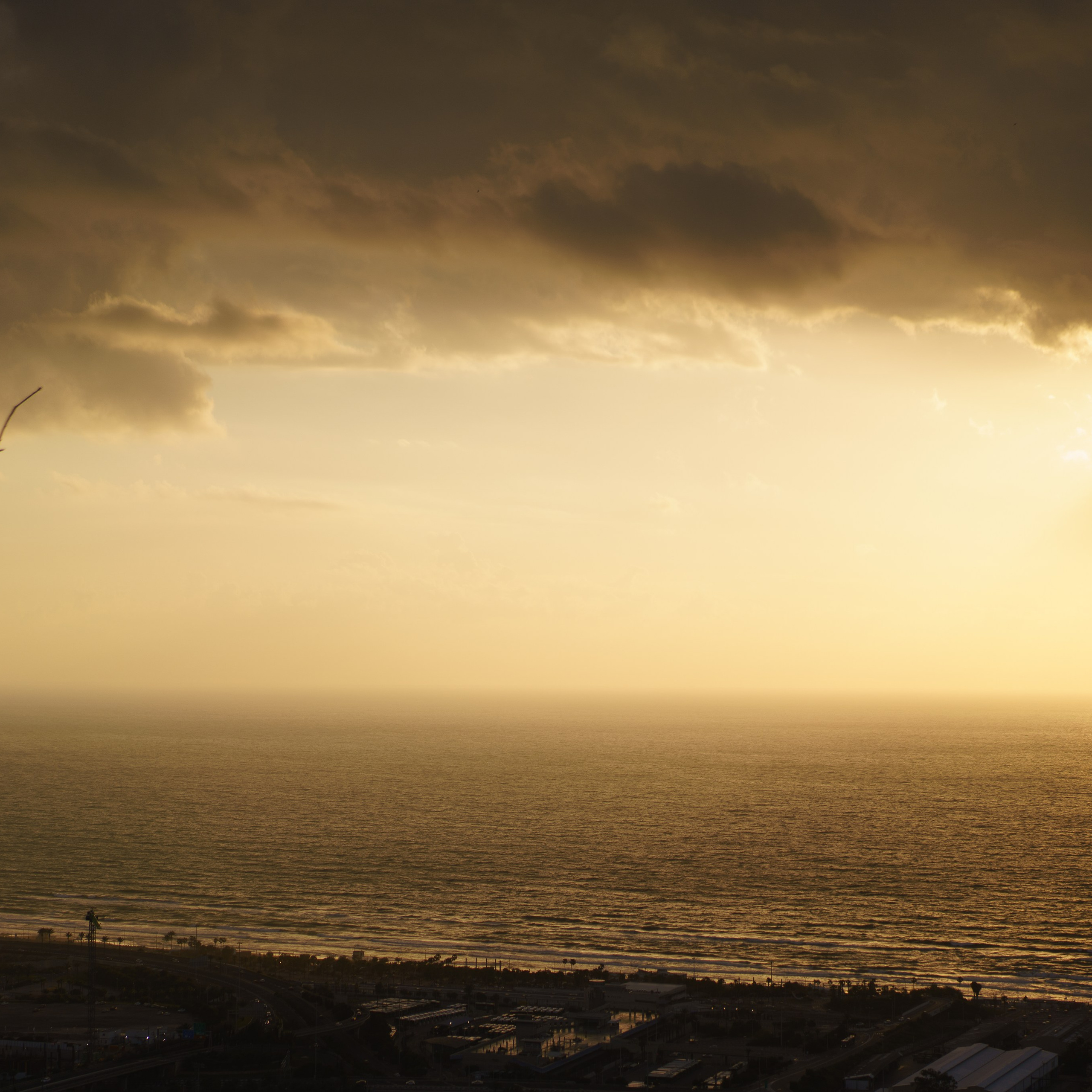 Viewing Platform with a Tree: Ideal for Spring Photoshoots
