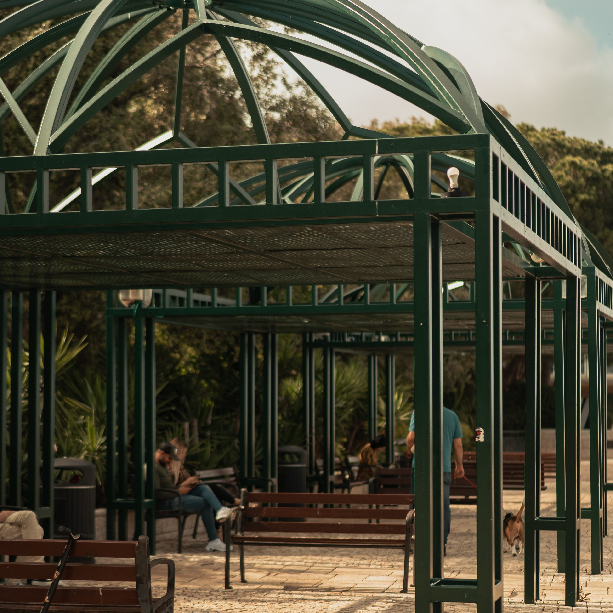 תצפית פרומנד לואי בחיפה: צילום עם נוף עירוני