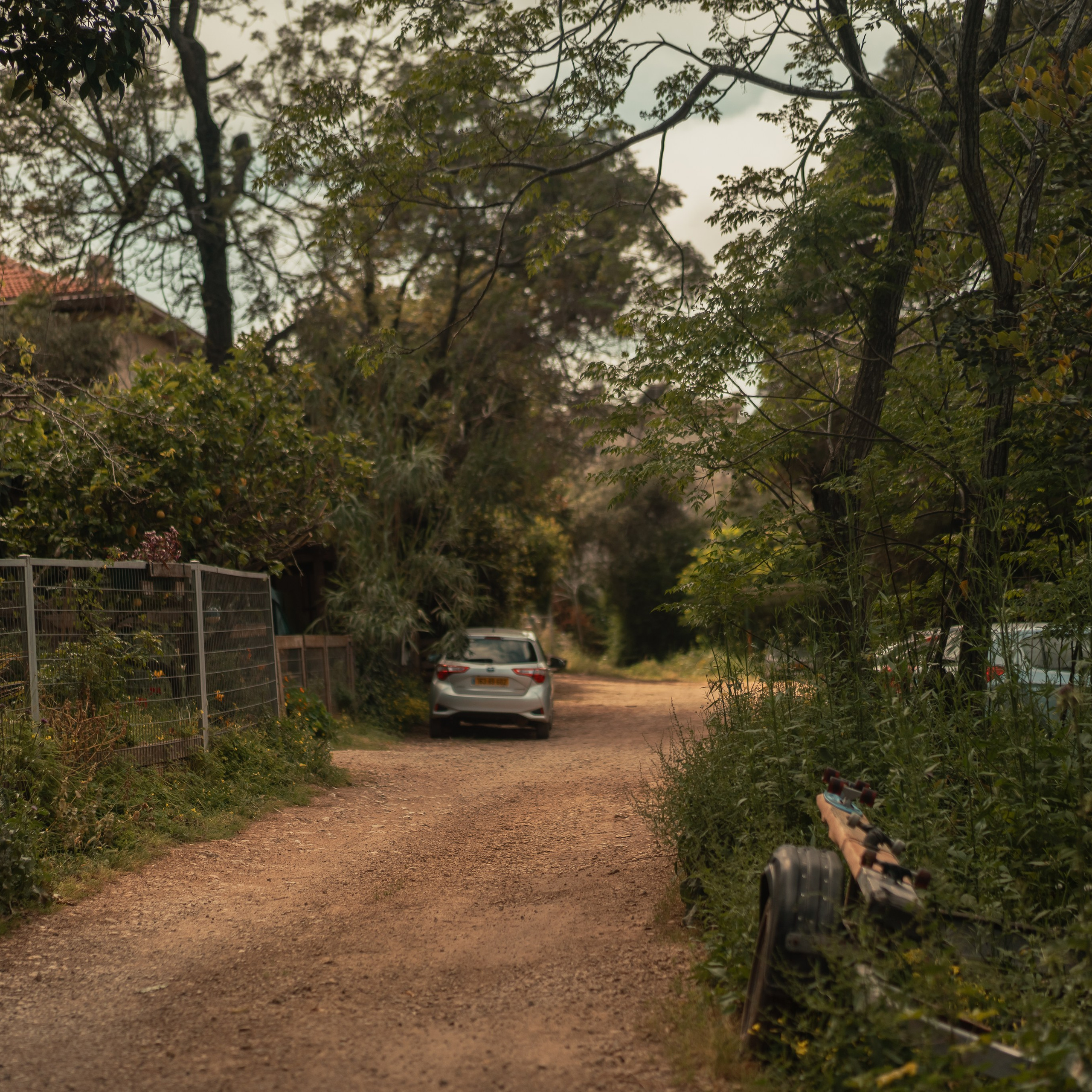 נדנדות לחוויות צילום קלילות וכיפיות