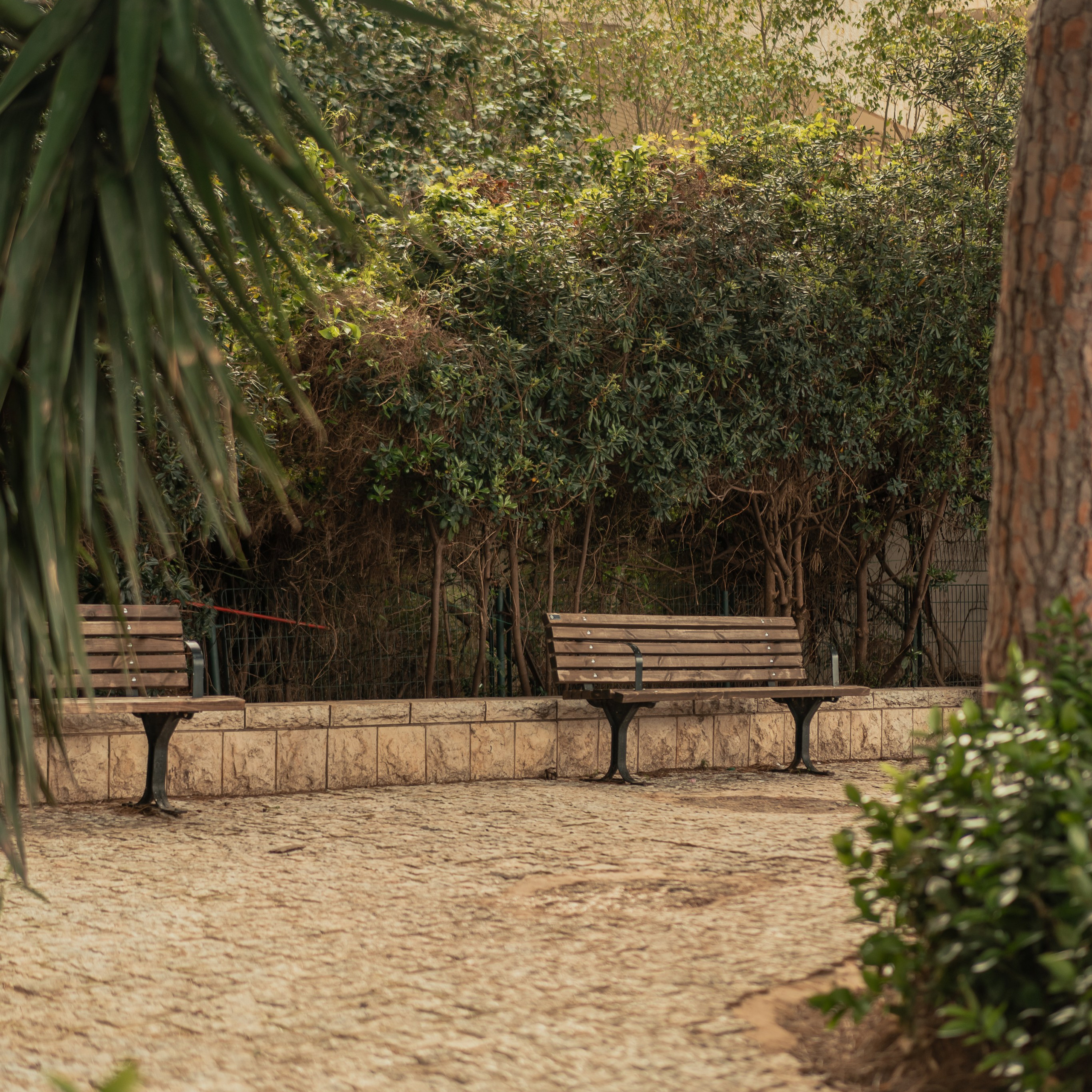 תצפית פרומנד לואי בחיפה: צילום עם נוף עירוני