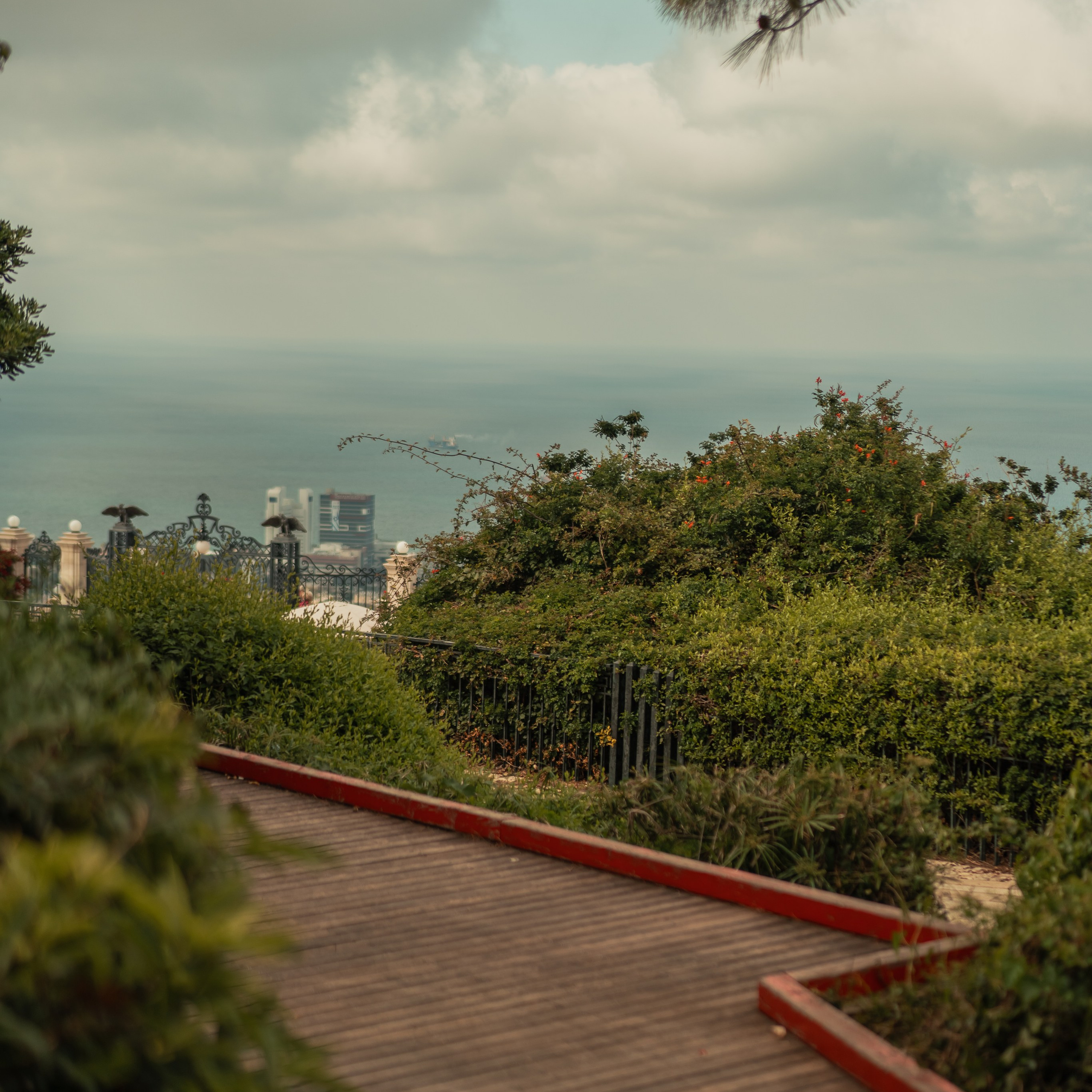 תצפית פרומנד לואי בחיפה: צילום עם נוף עירוני