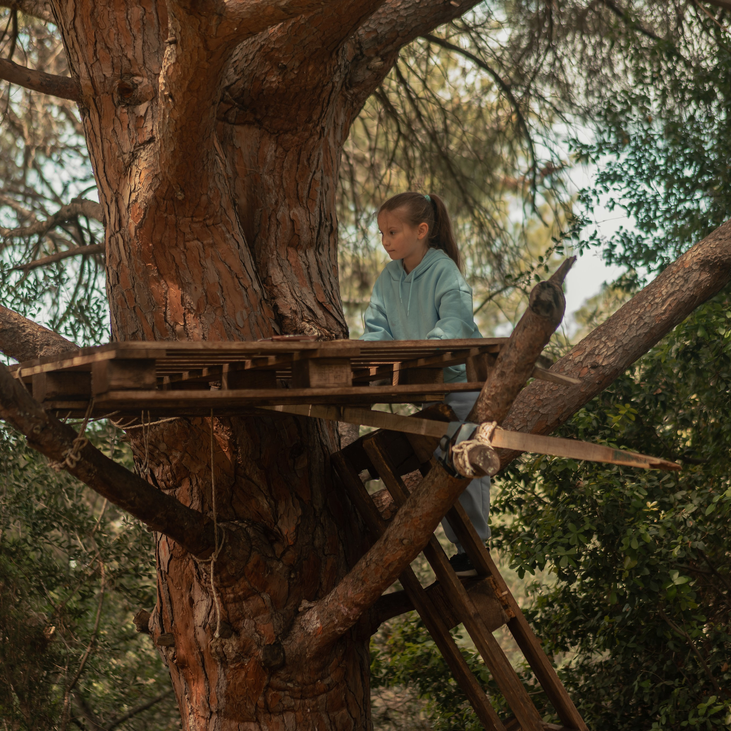 נדנדות לחוויות צילום קלילות וכיפיות