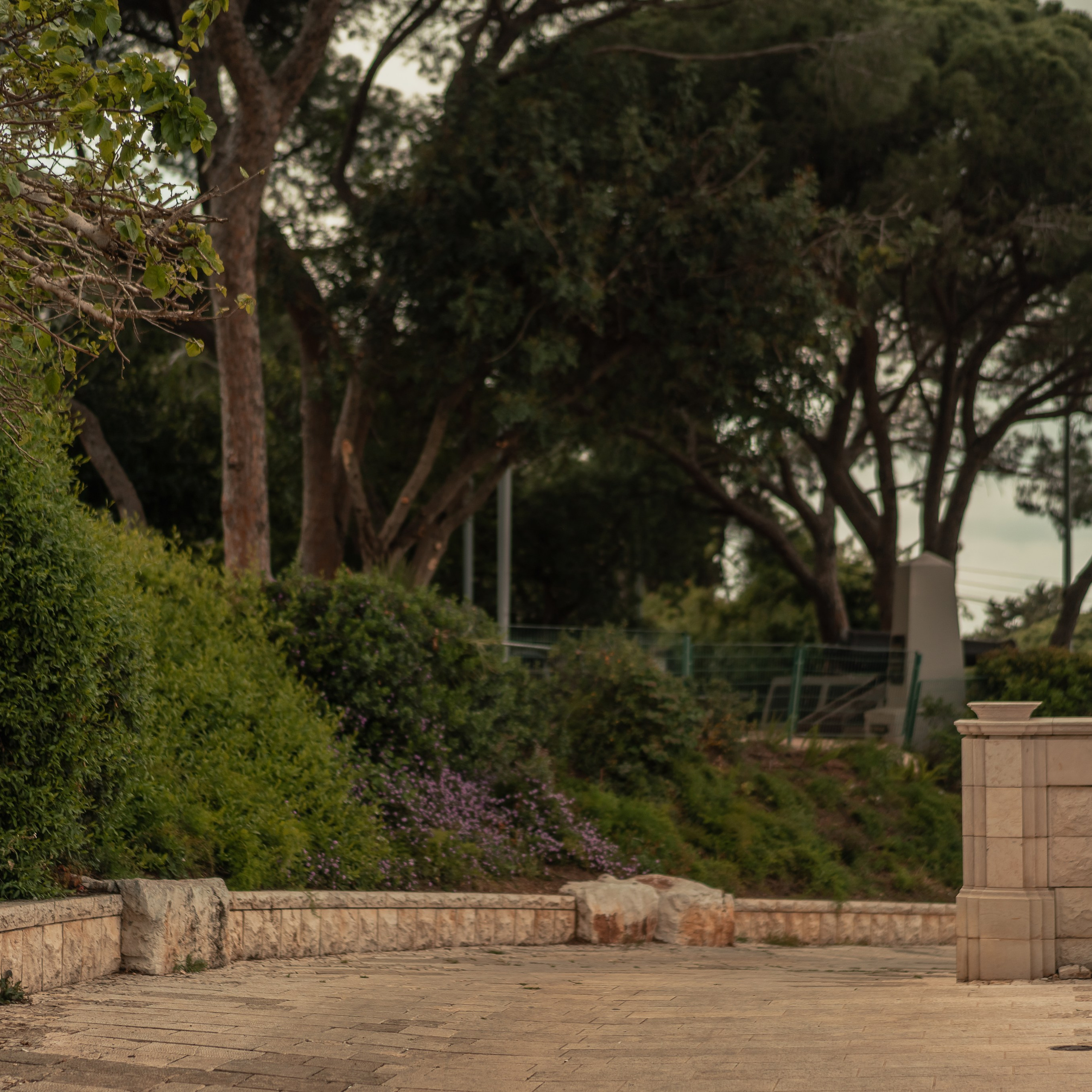 תצפית פרומנד לואי בחיפה: צילום עם נוף עירוני