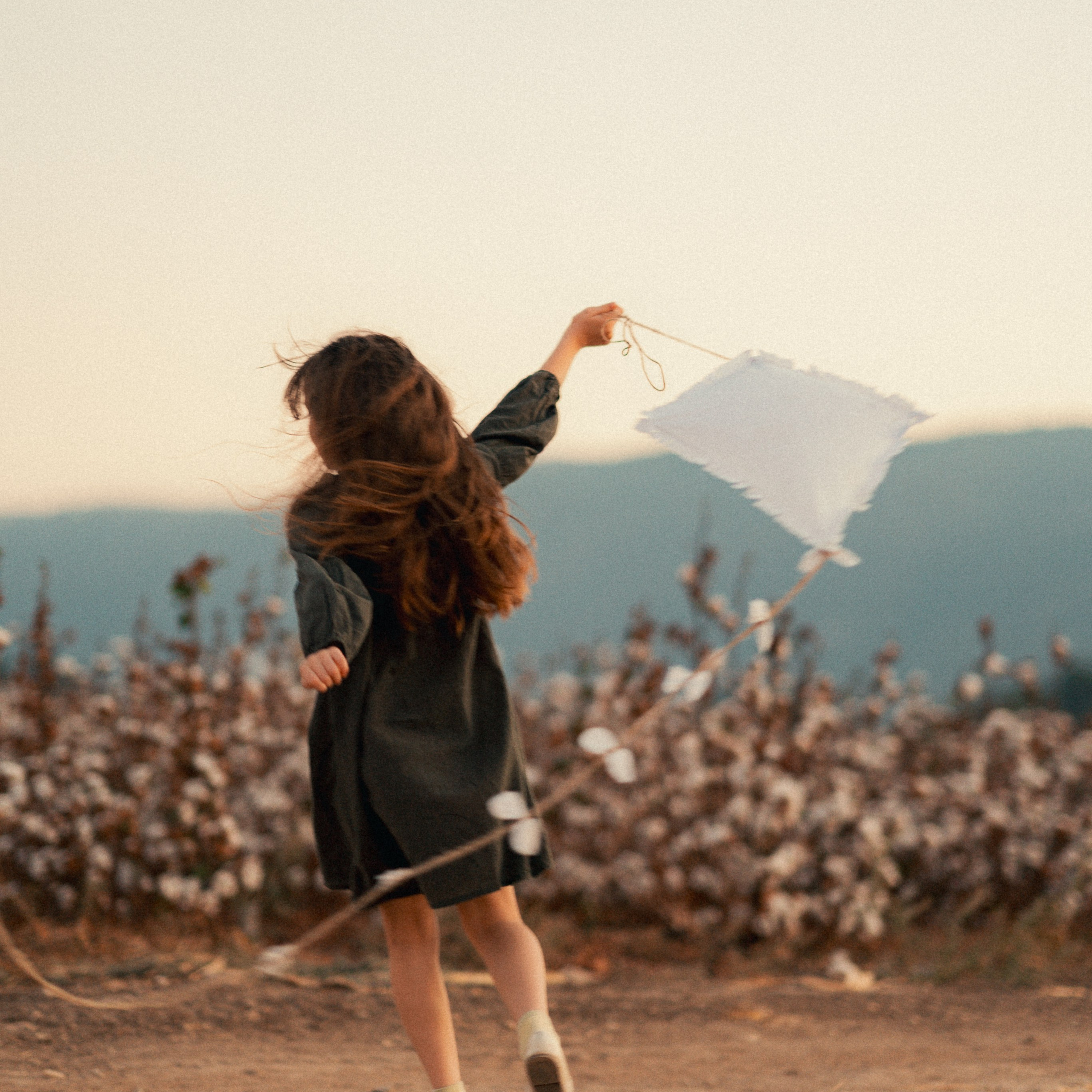 Cotton Fields: Autumn Photoshoots