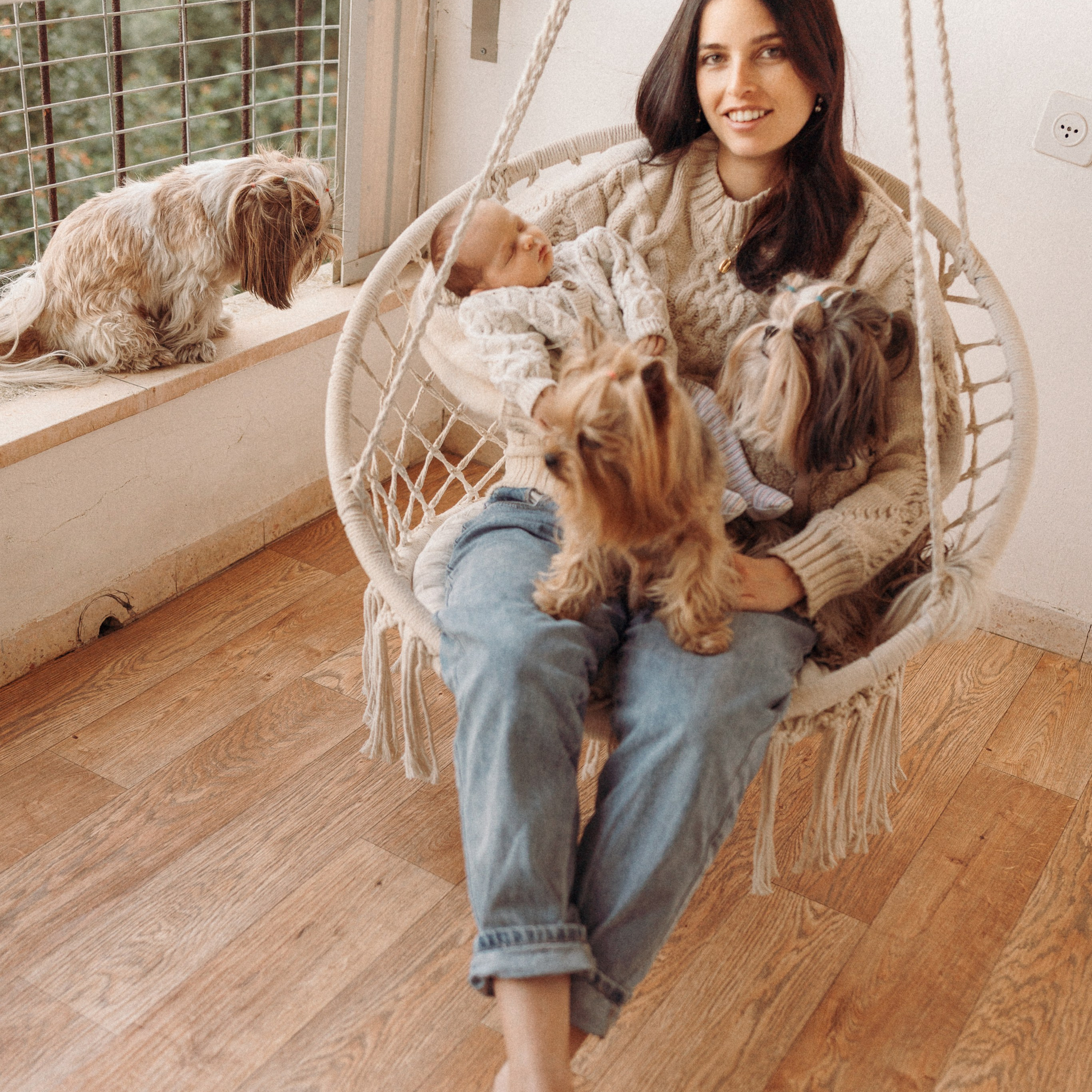 סשן צילום עם תינוק, אמא וכלבים | צילום משפחתי עם חיות מחמד