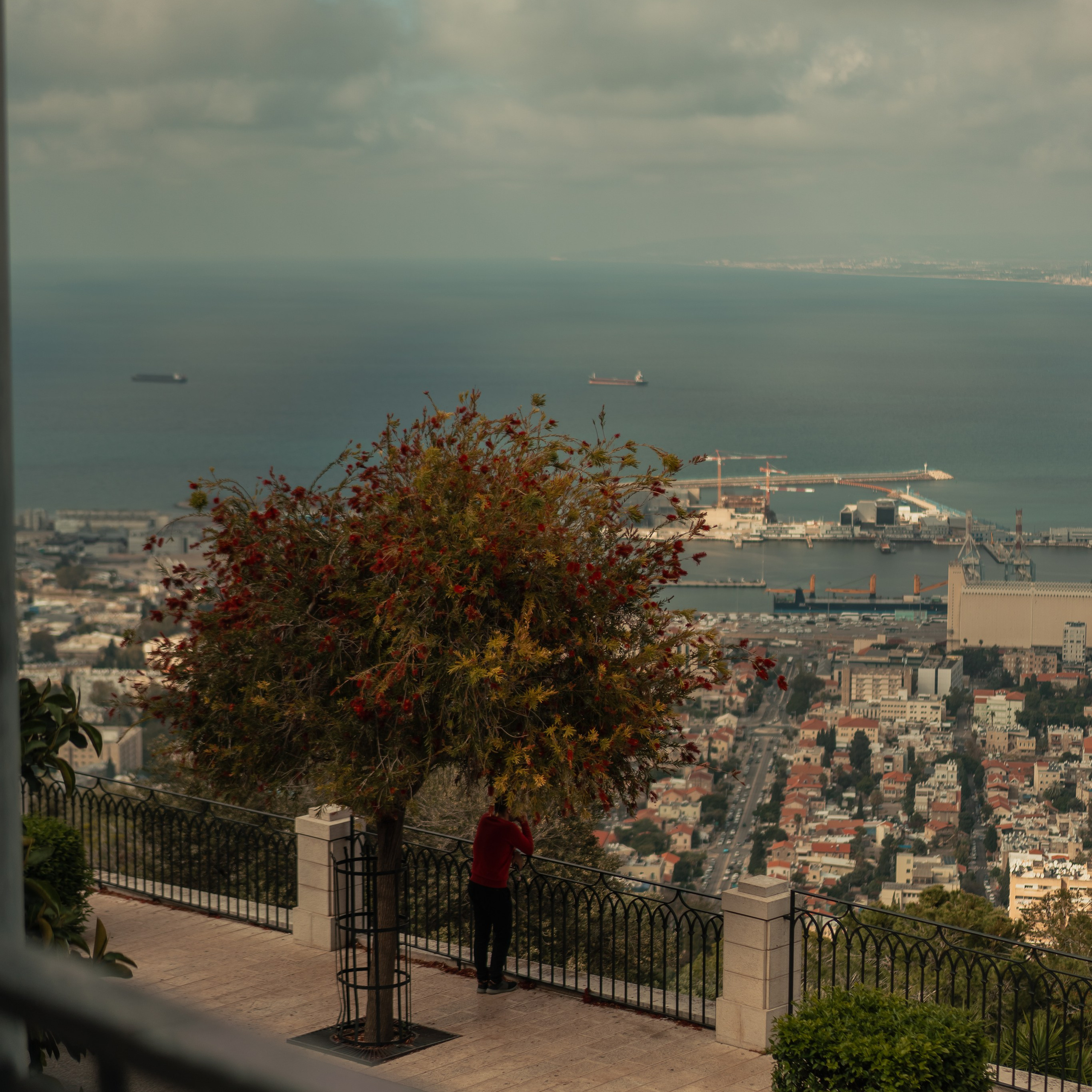 תצפית פרומנד לואי בחיפה: צילום עם נוף עירוני