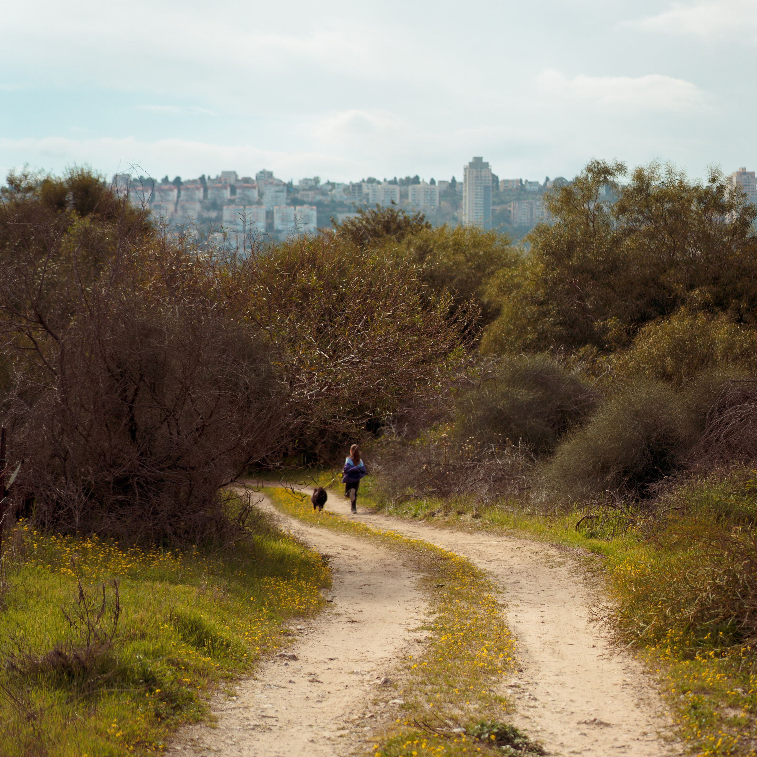 Family Photoshoot in Kishon Park | Capturing Moments in Nature