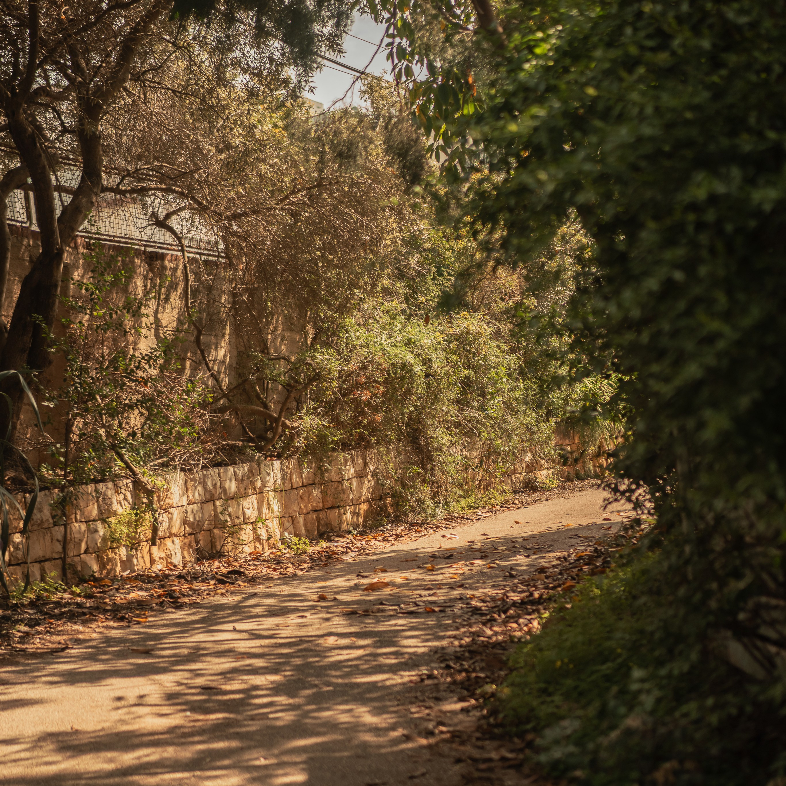 נדנדות לחוויות צילום קלילות וכיפיות