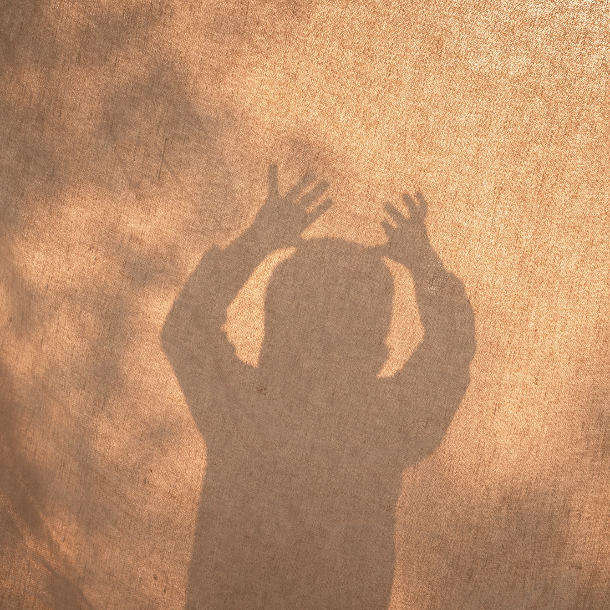 יום הולדת של ארישה: רגעים שמחים במצלמה