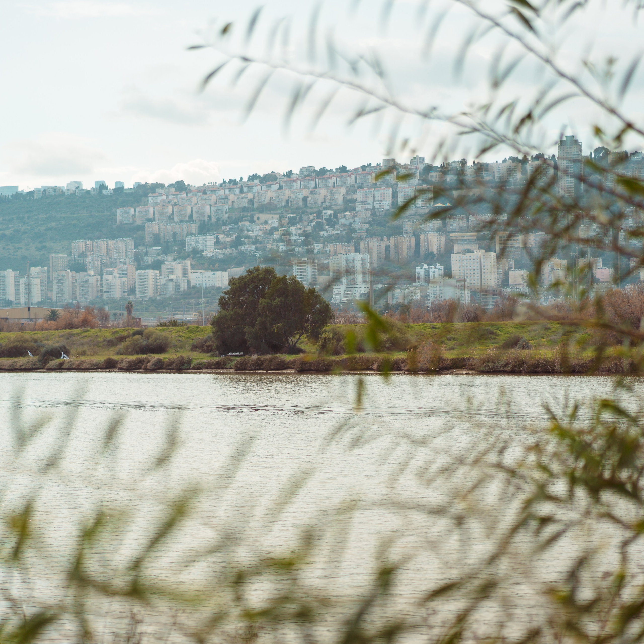 Family Photoshoot in Kishon Park | Capturing Moments in Nature