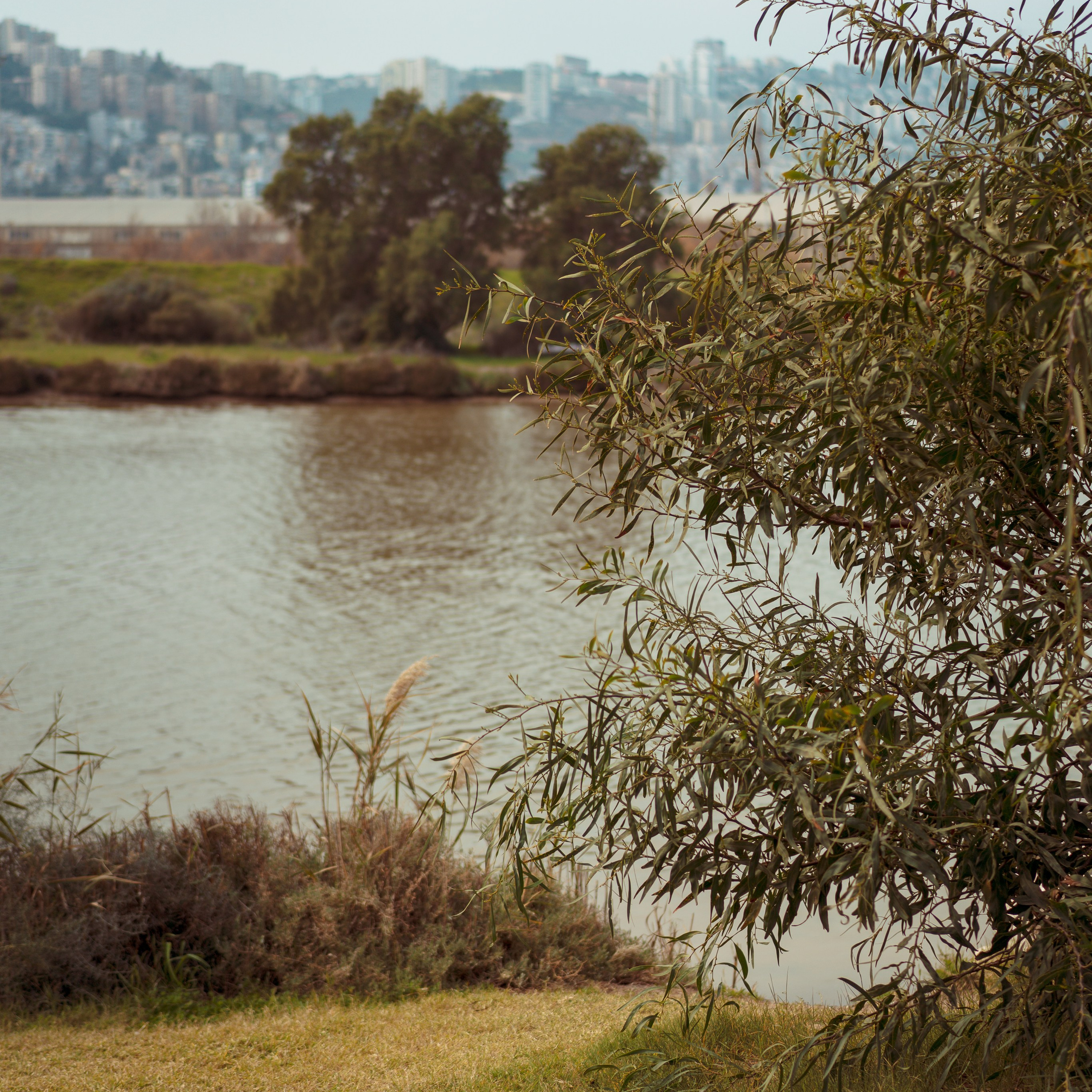 Family Photoshoot in Kishon Park | Capturing Moments in Nature