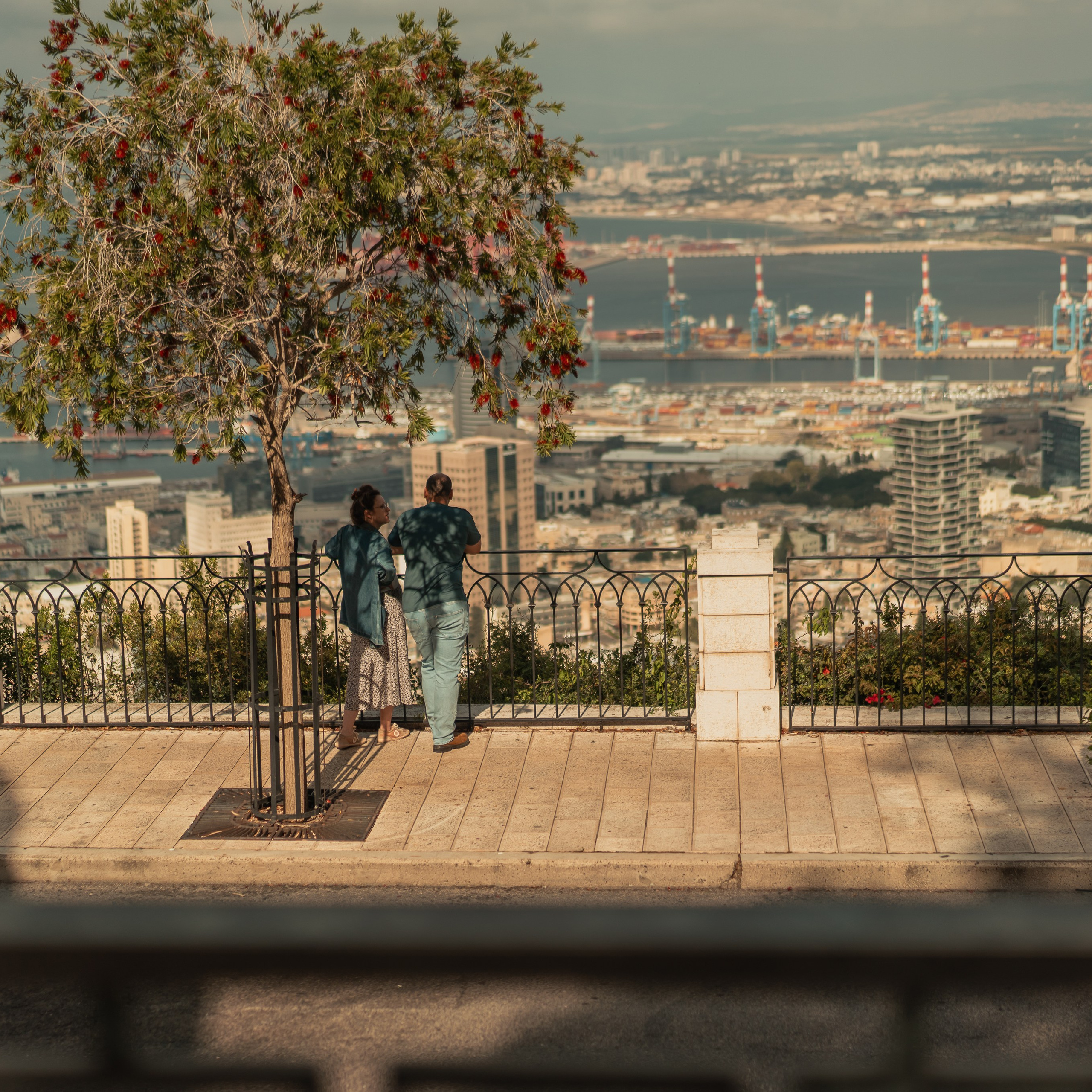 תצפית פרומנד לואי בחיפה: צילום עם נוף עירוני