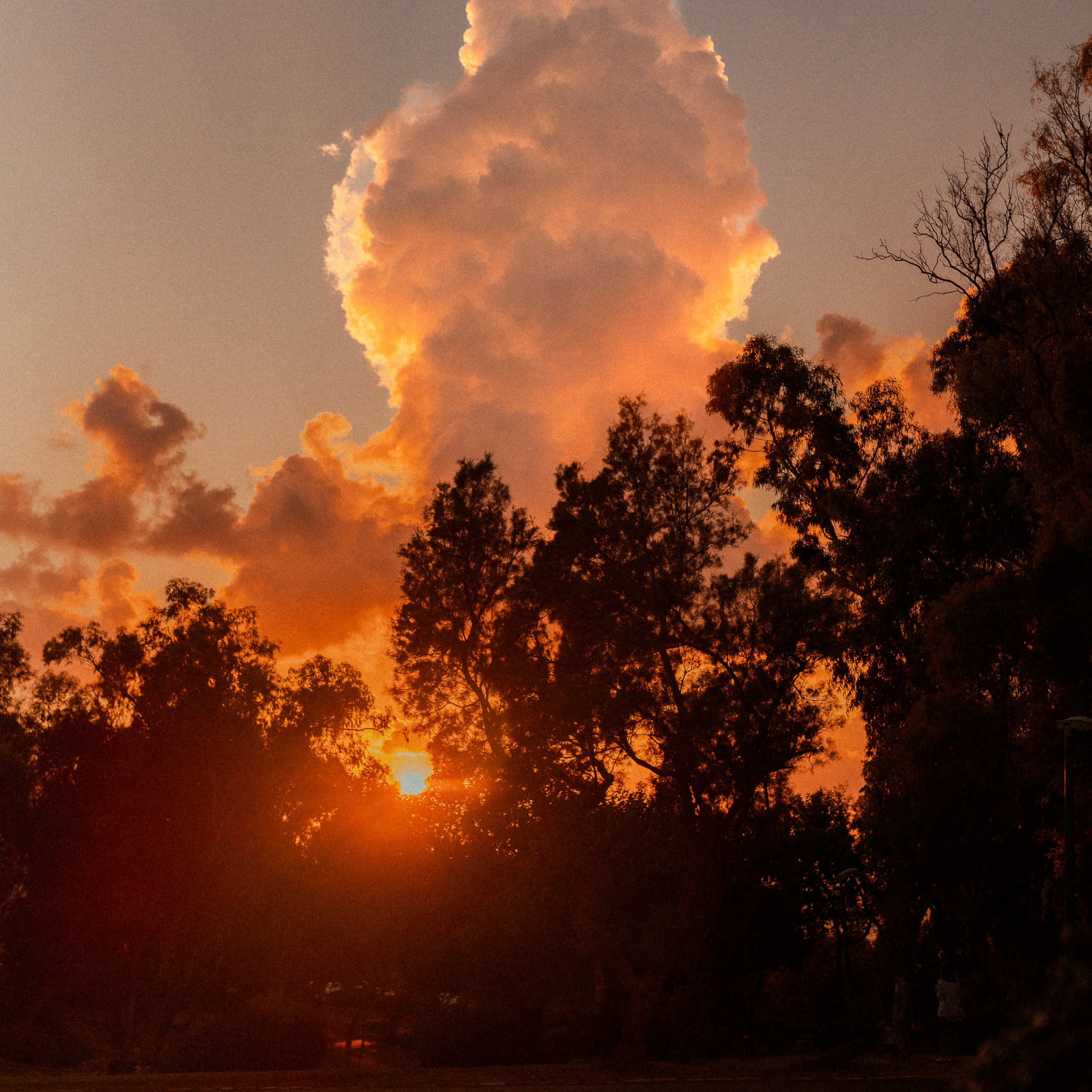 צילום לייף סטייל בפארק כהן, חיפה - טבע אידיאלי לצילום