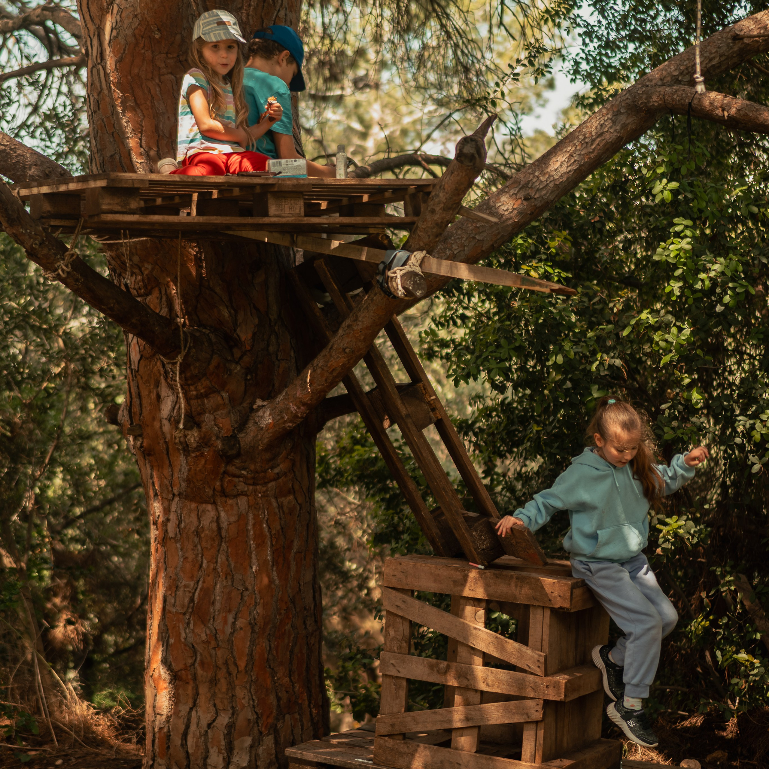 נדנדות לחוויות צילום קלילות וכיפיות