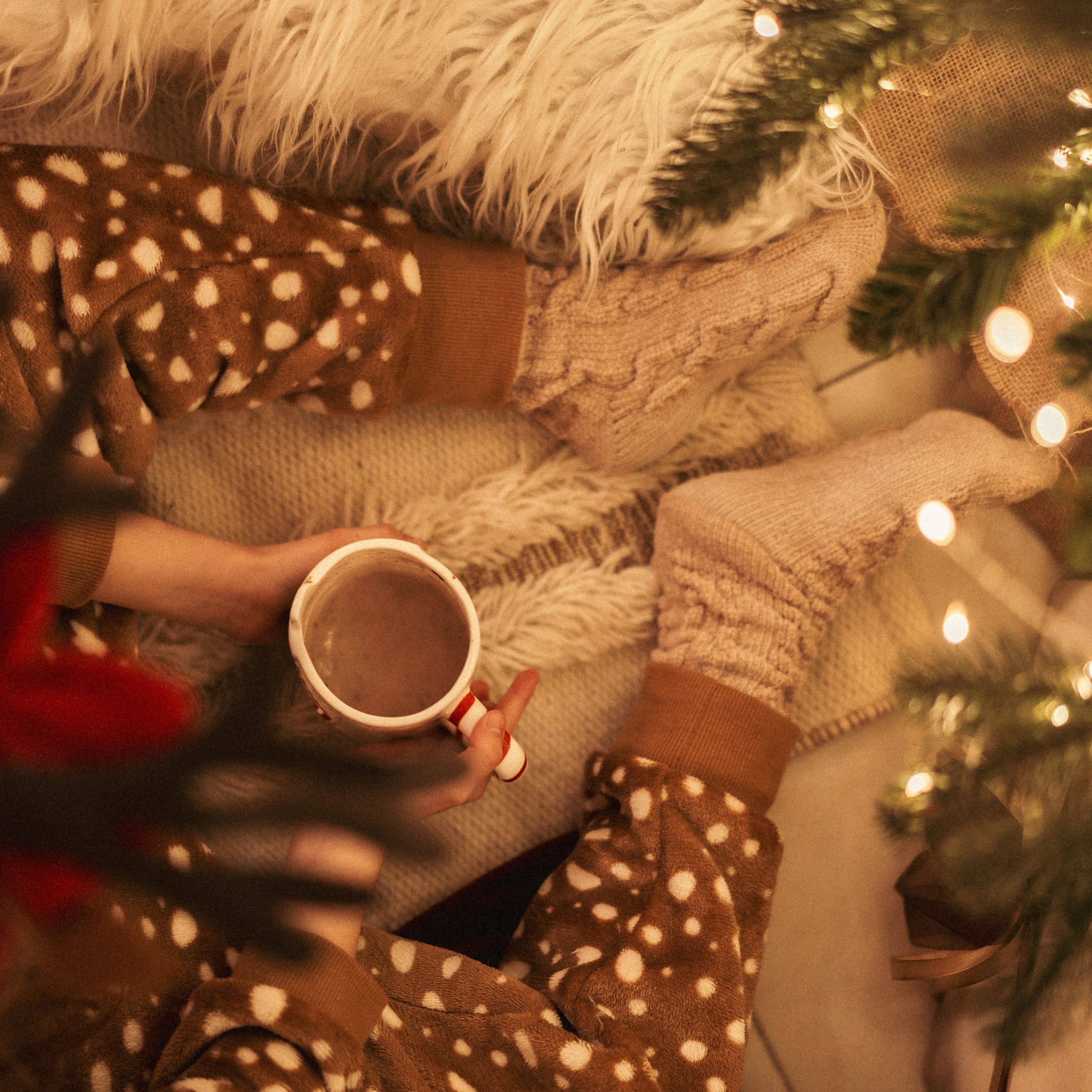 צילומי שנה חדשה בחיפה - צילומים קסומים לזיכרון