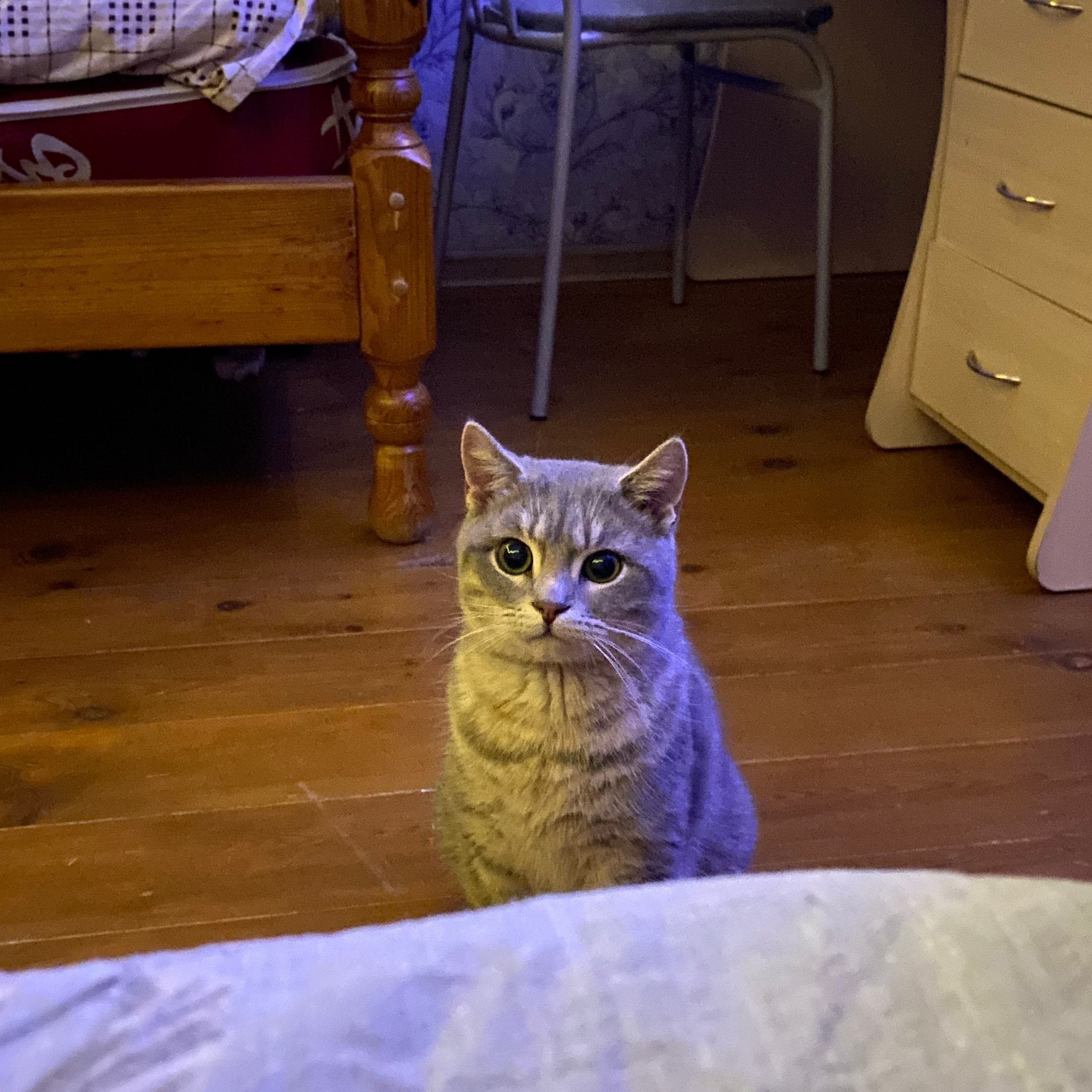 Доска прослезившихся