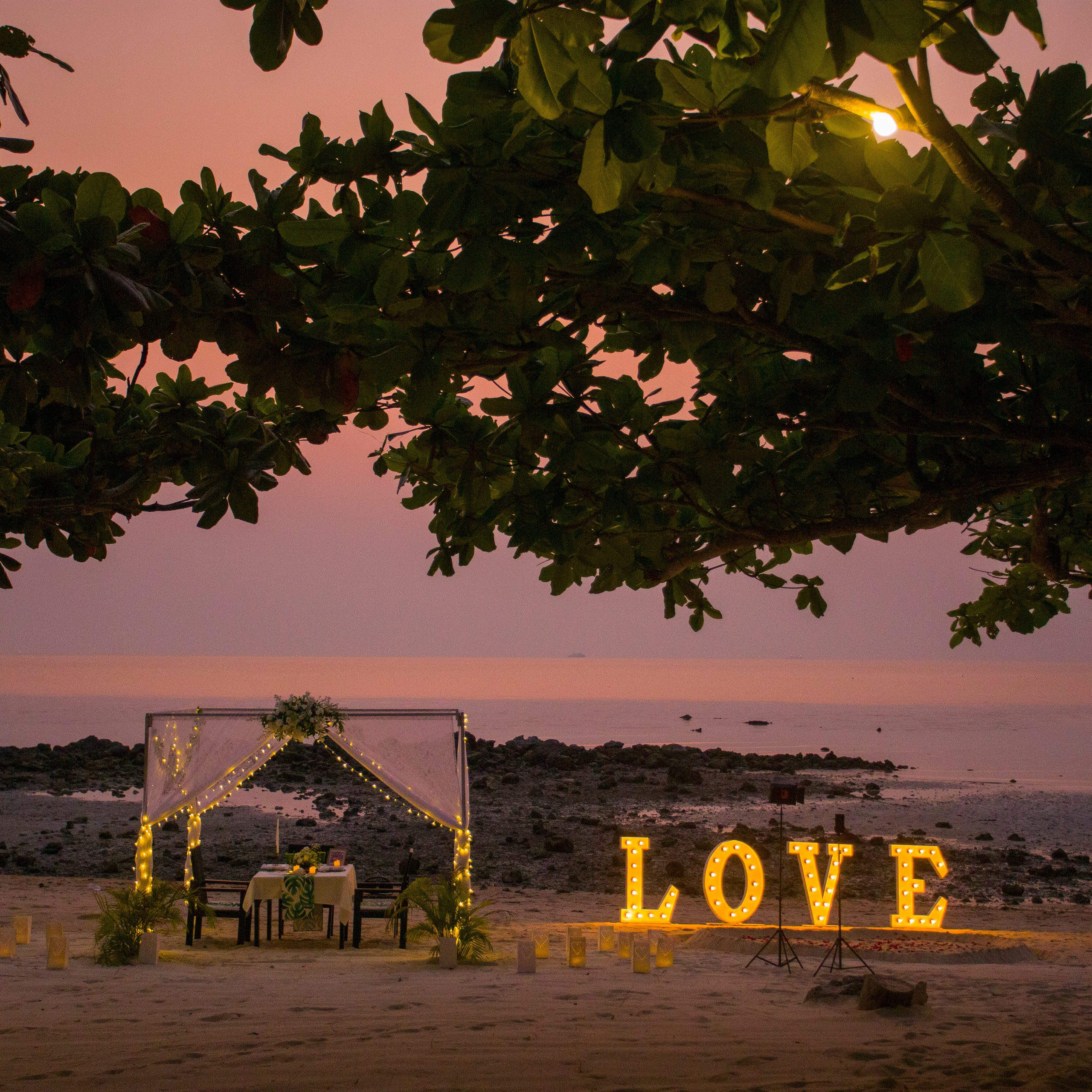 Photo. Romantic proposal on Koh Samui, Thailand