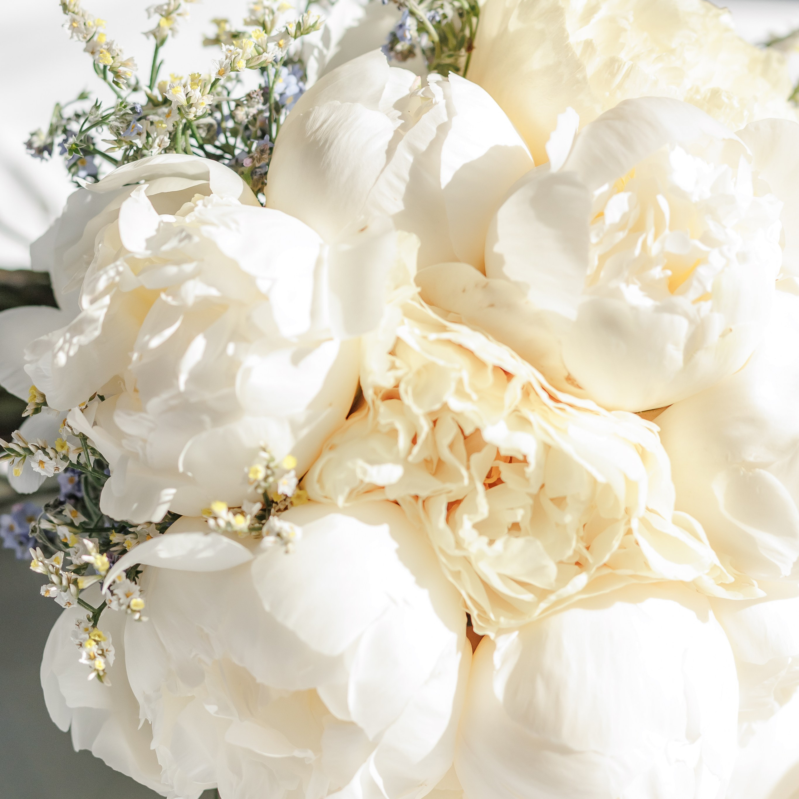 Rezensionen Fotograf Nataliia Schütze. Hochzeitsfotografie in Berlin Nataliia Schütze