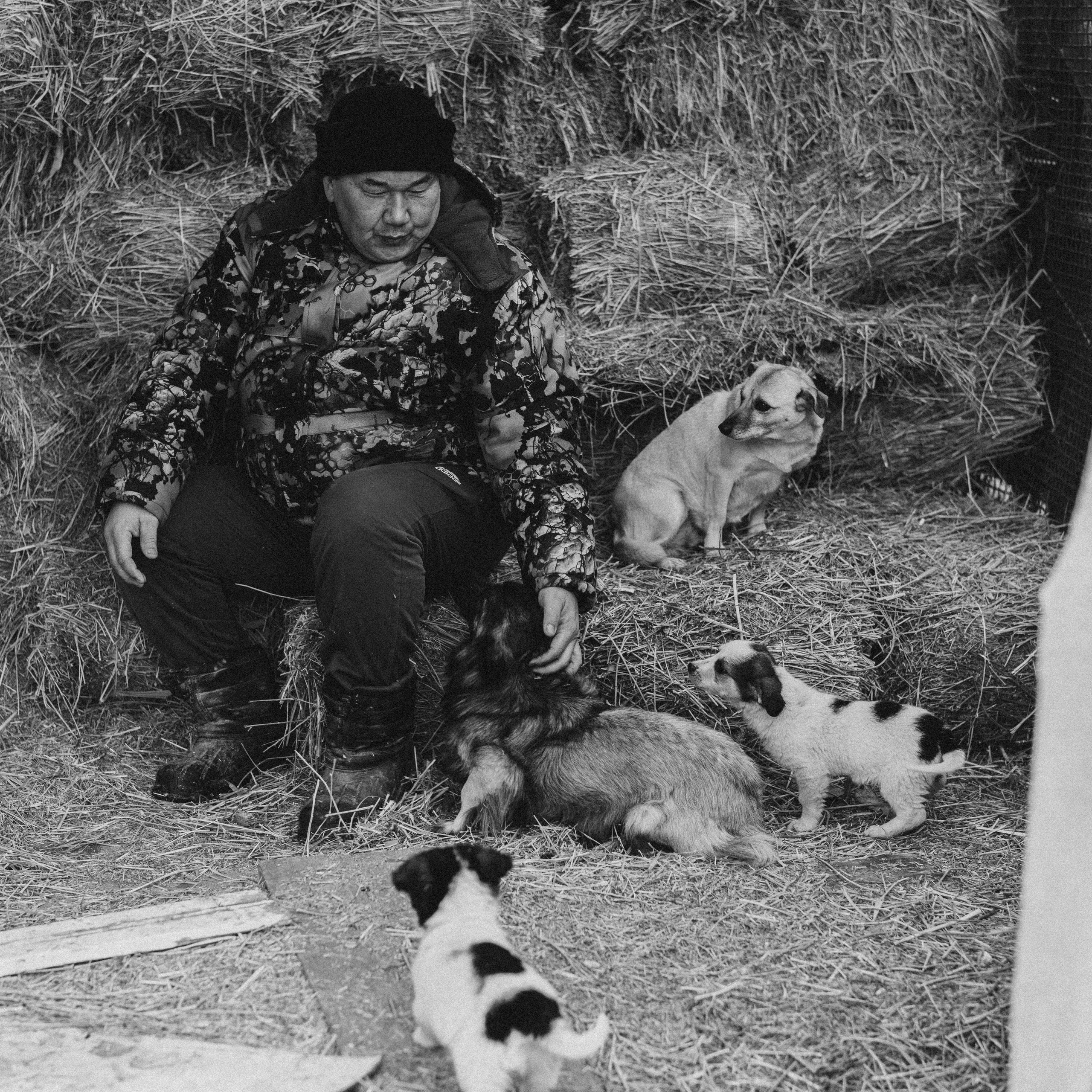 Testimonials. Children’s and family photographer Anna Krasovitskaya