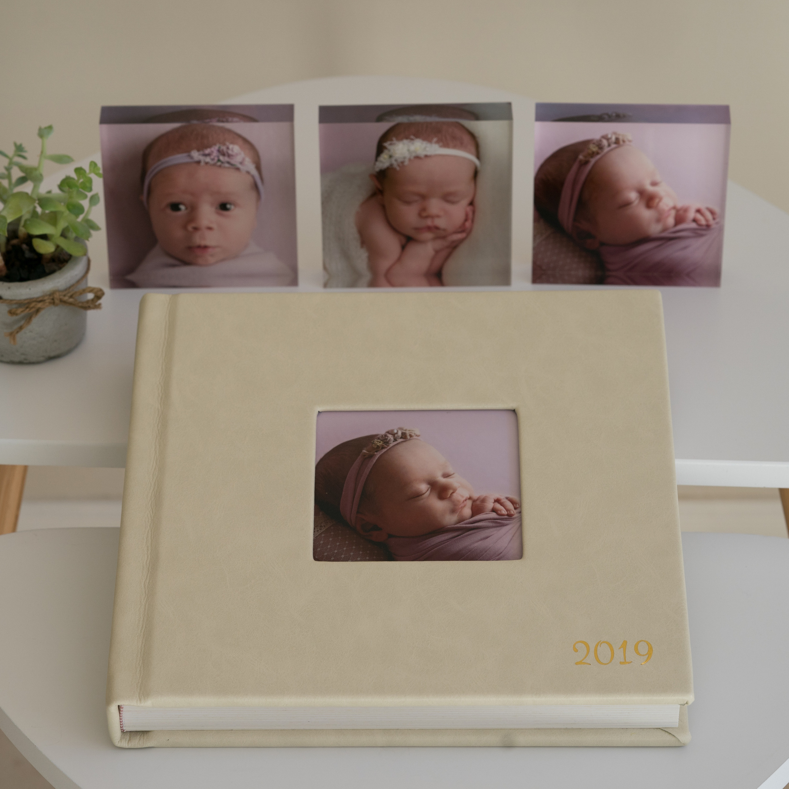 Leather cover regular album