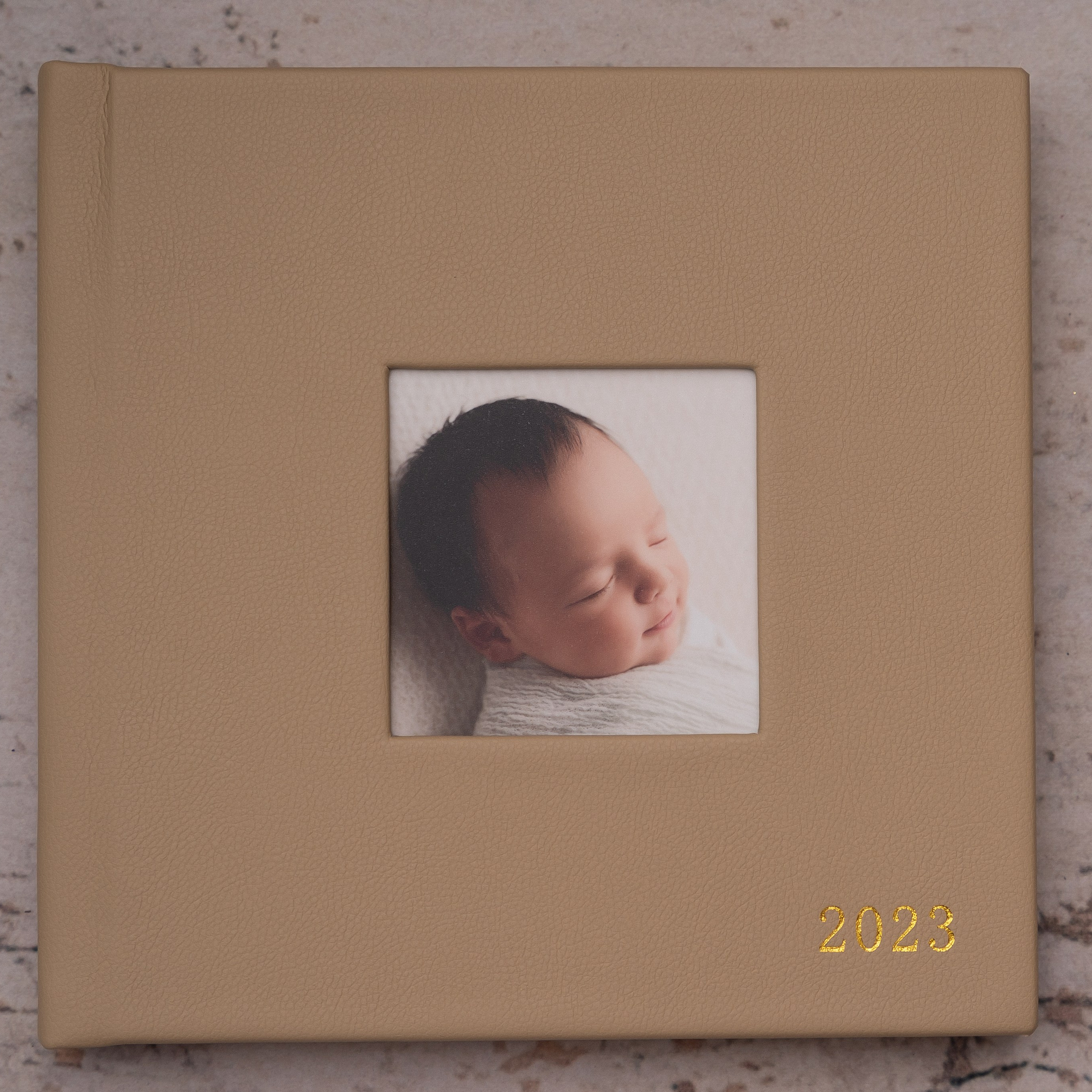 Leather cover regular album