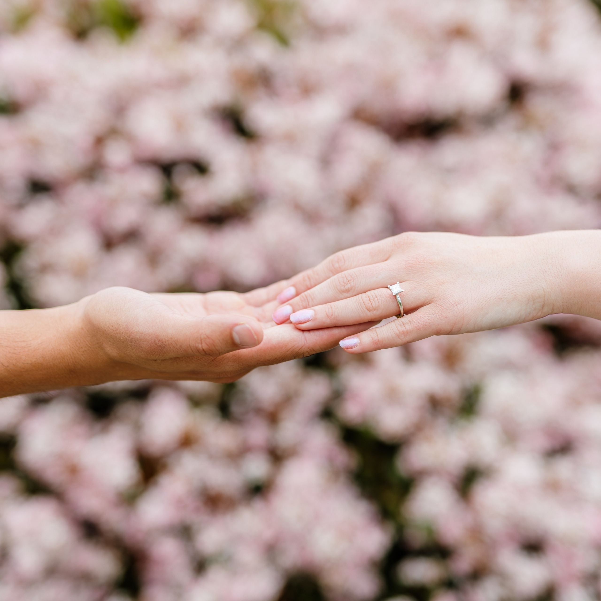 Travis & Davin Engagement