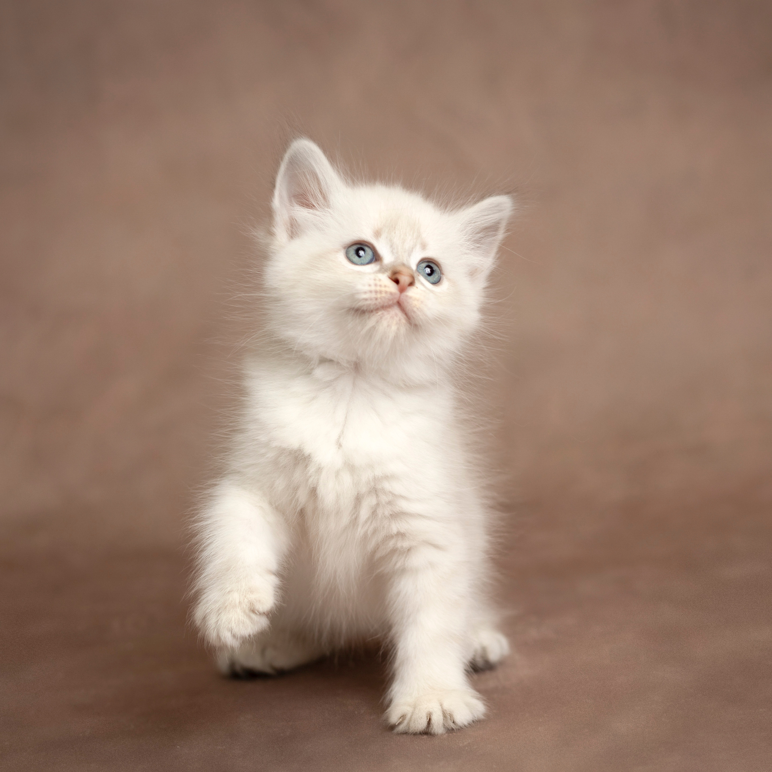 Comments and kind words for photographer. Stevenage, Hertfordshire family, maternity and newborn photographer