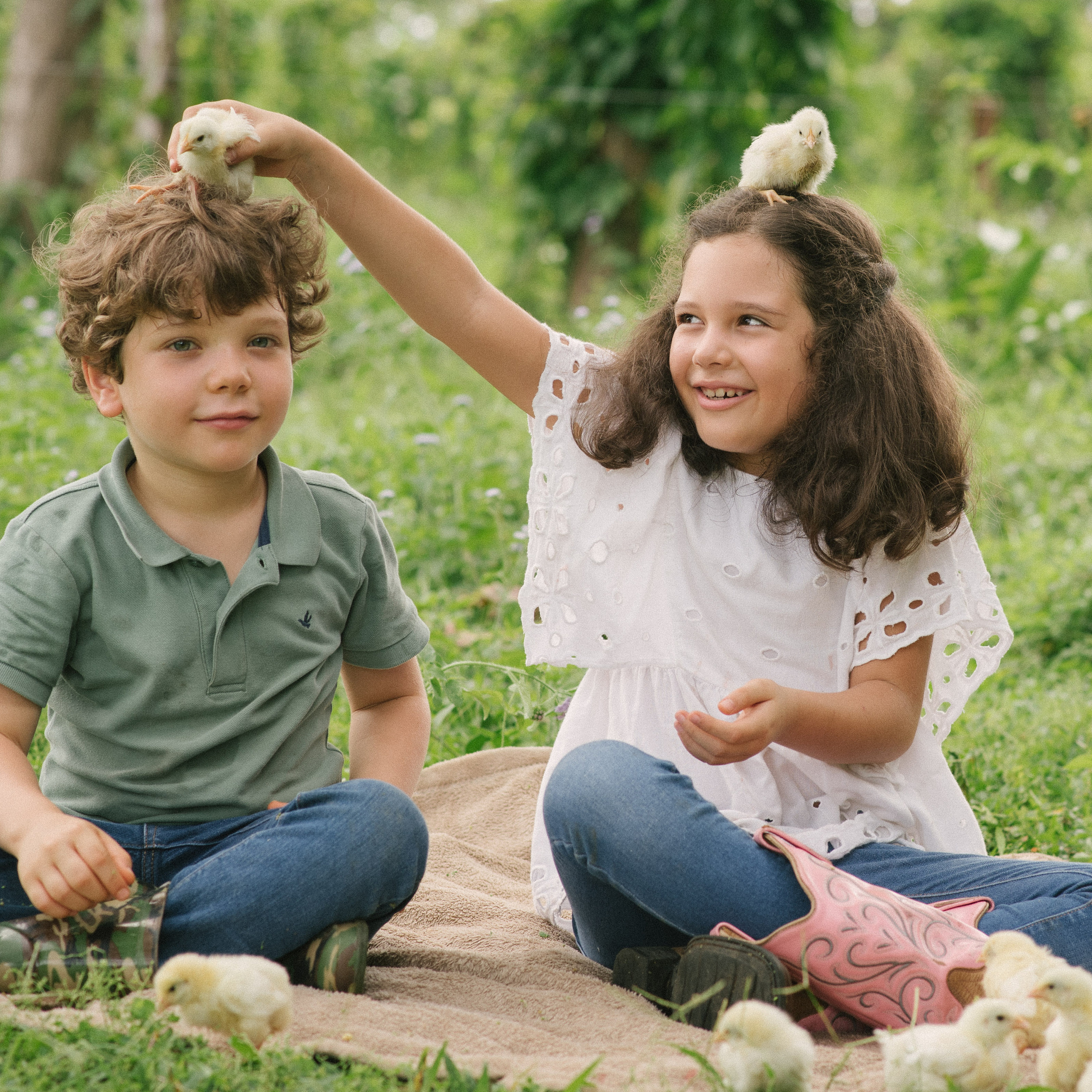 sesión de fotos con niños y los pollitos