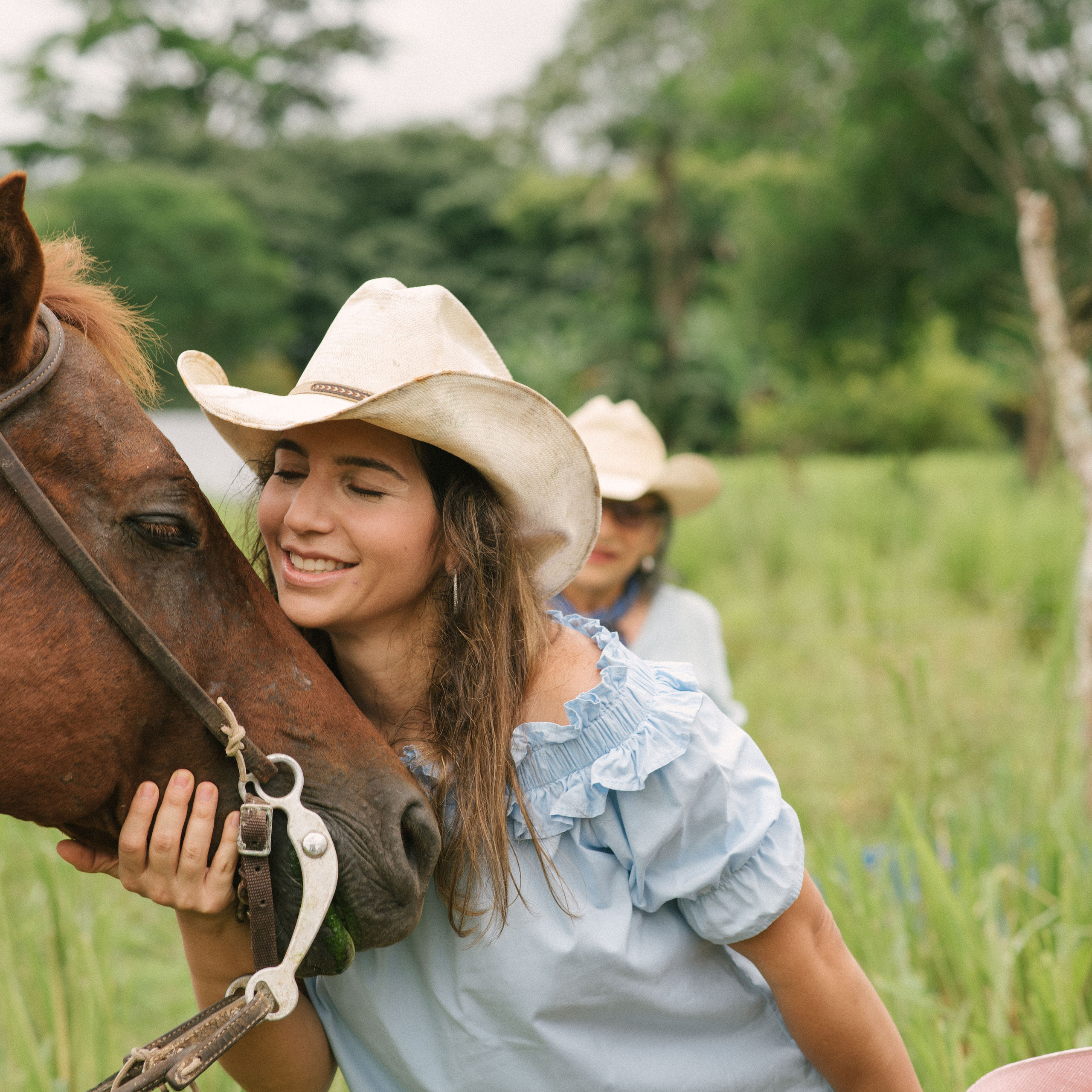 Las fotos familiares en el campo con caballos