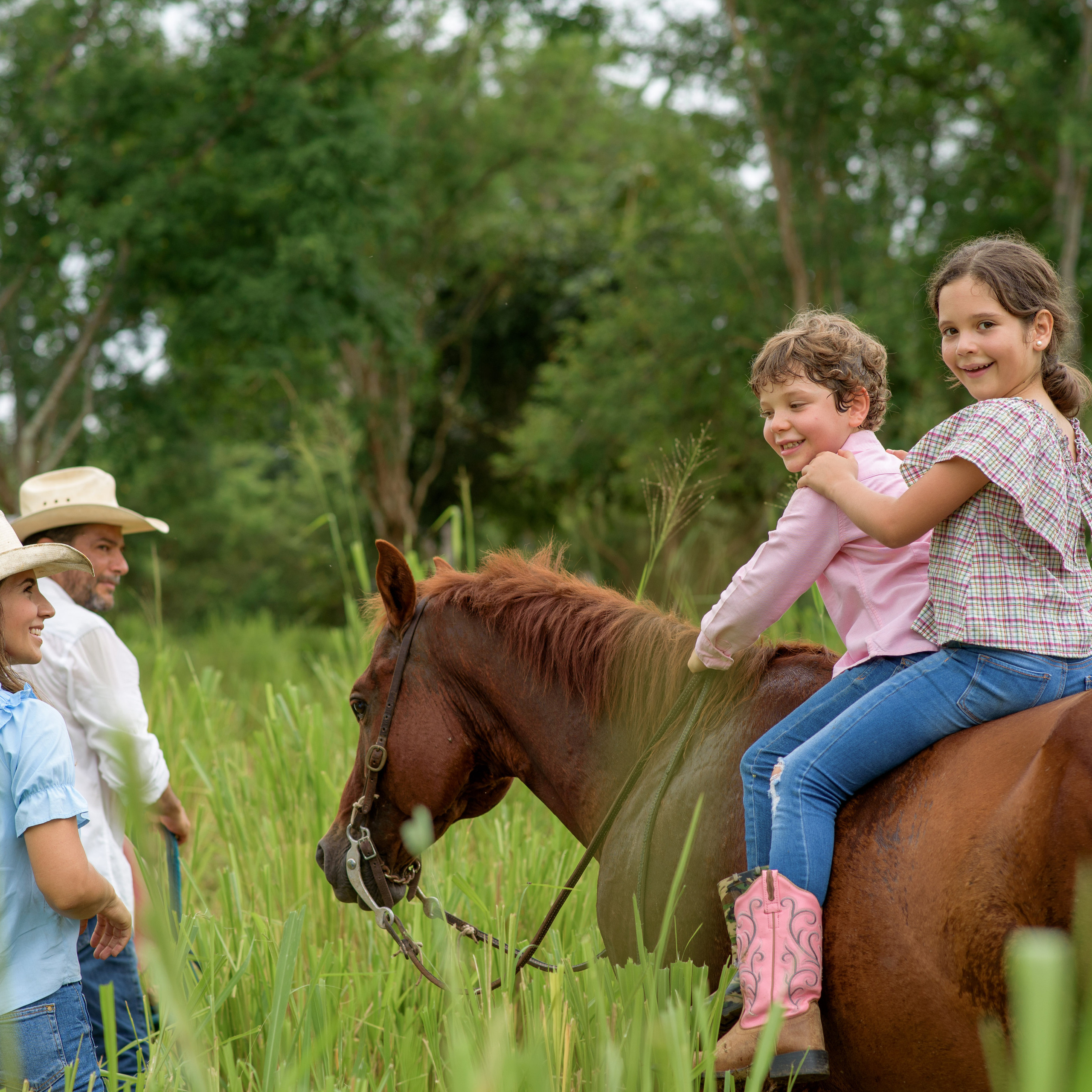 Las fotos familiares en el campo con caballos