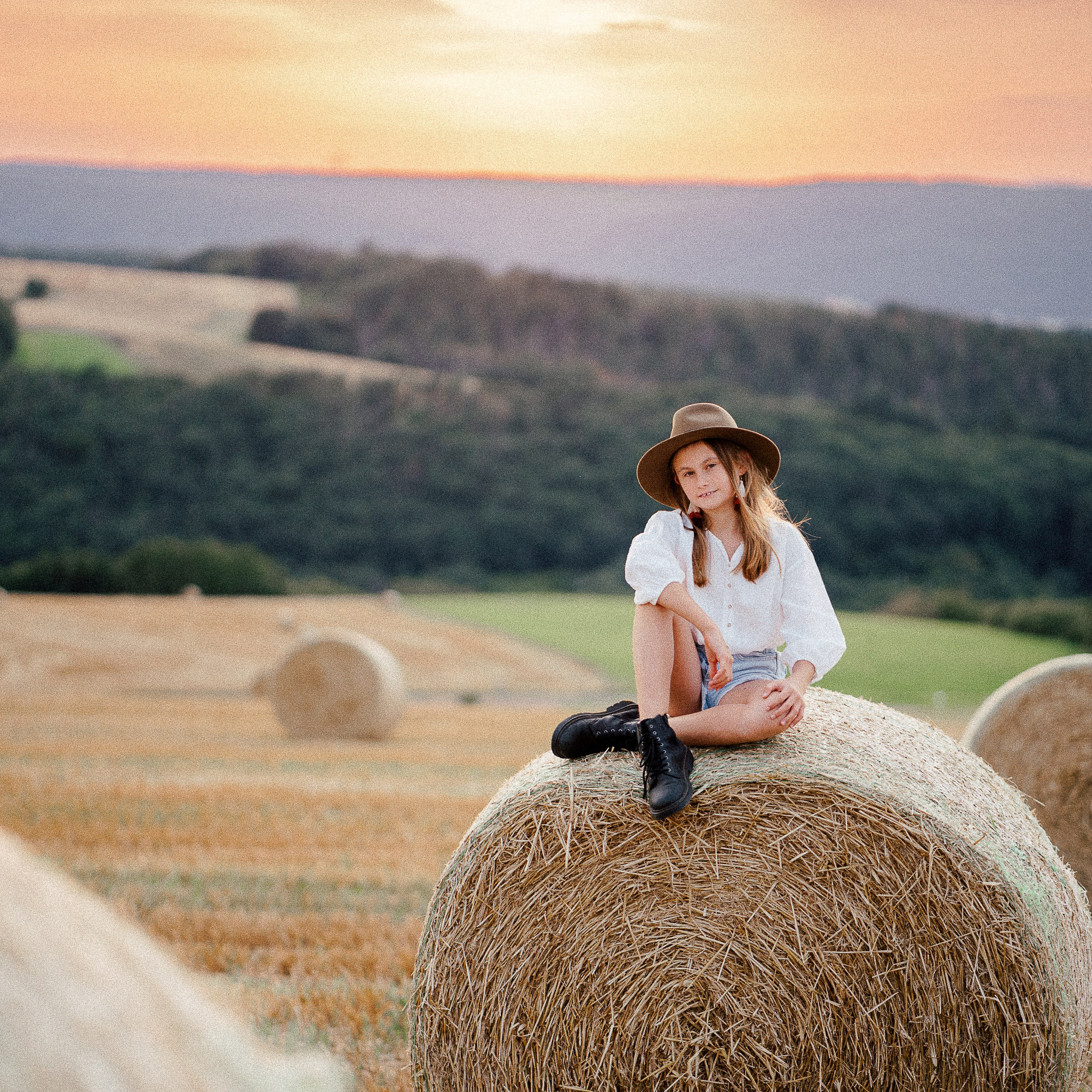 Summer evening fields