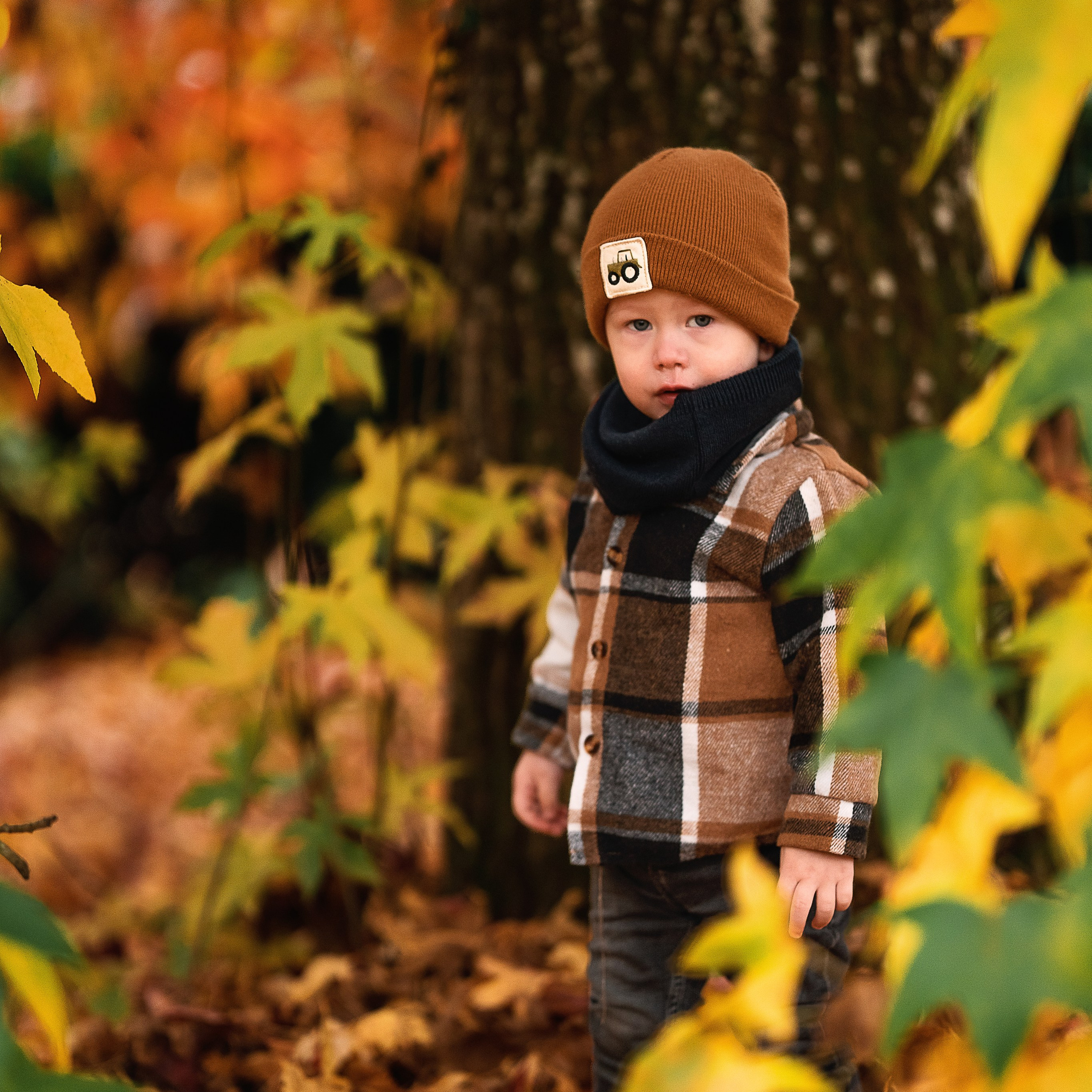 Beautiful autumn days