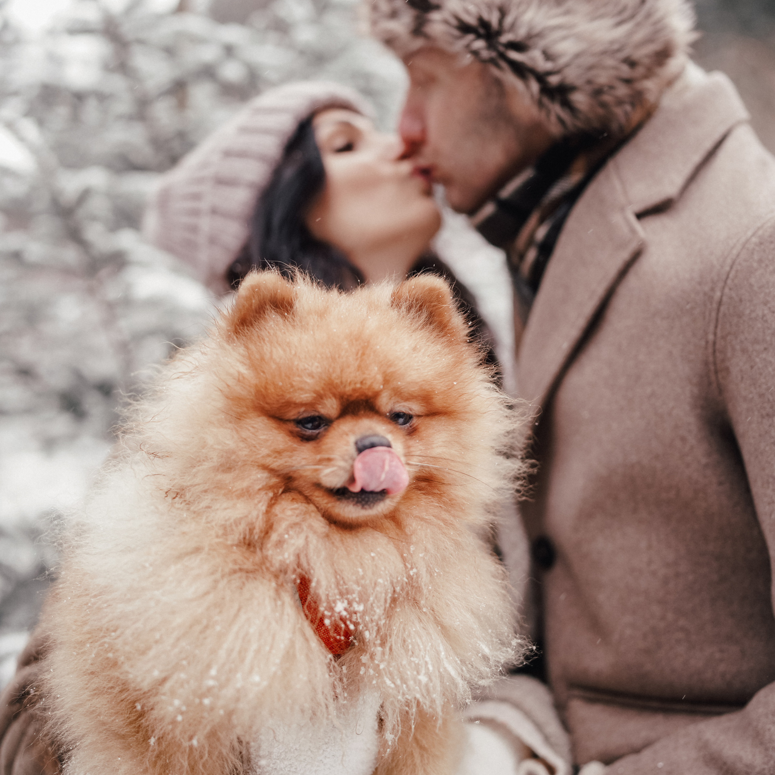 Katja, Egor und fluffiger Filyusha