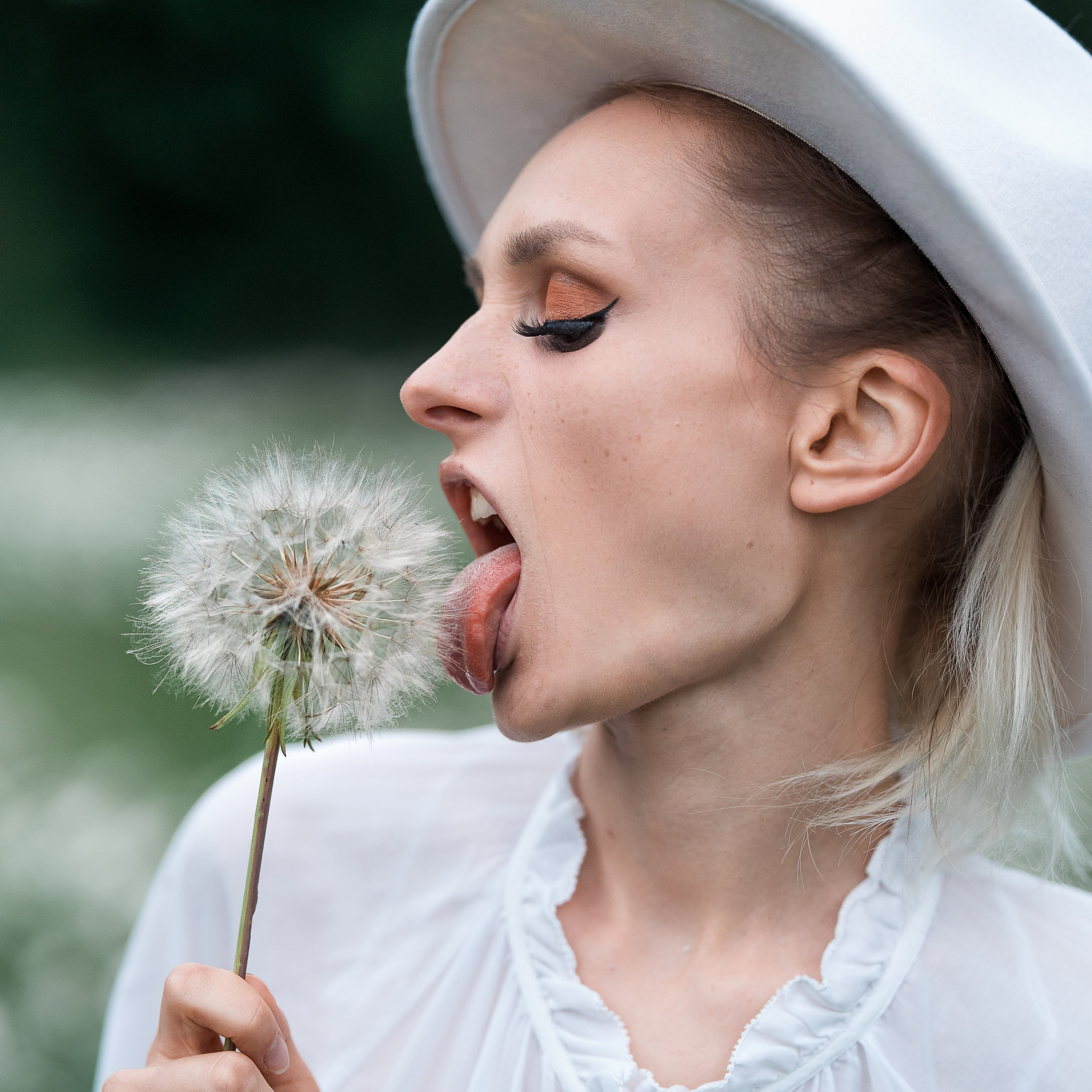 Mohnblumen. Pusteblumen.