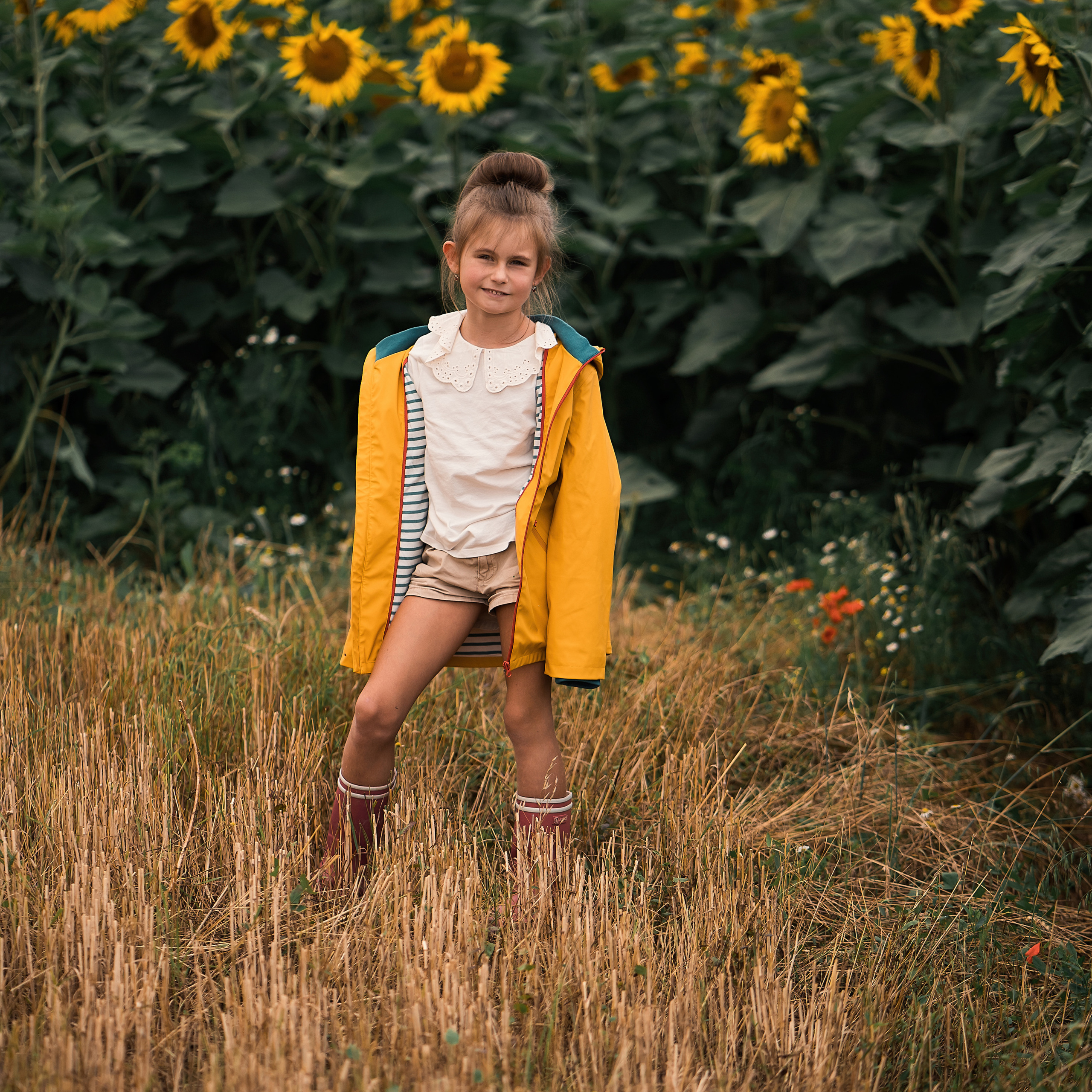 Sonnenblumen