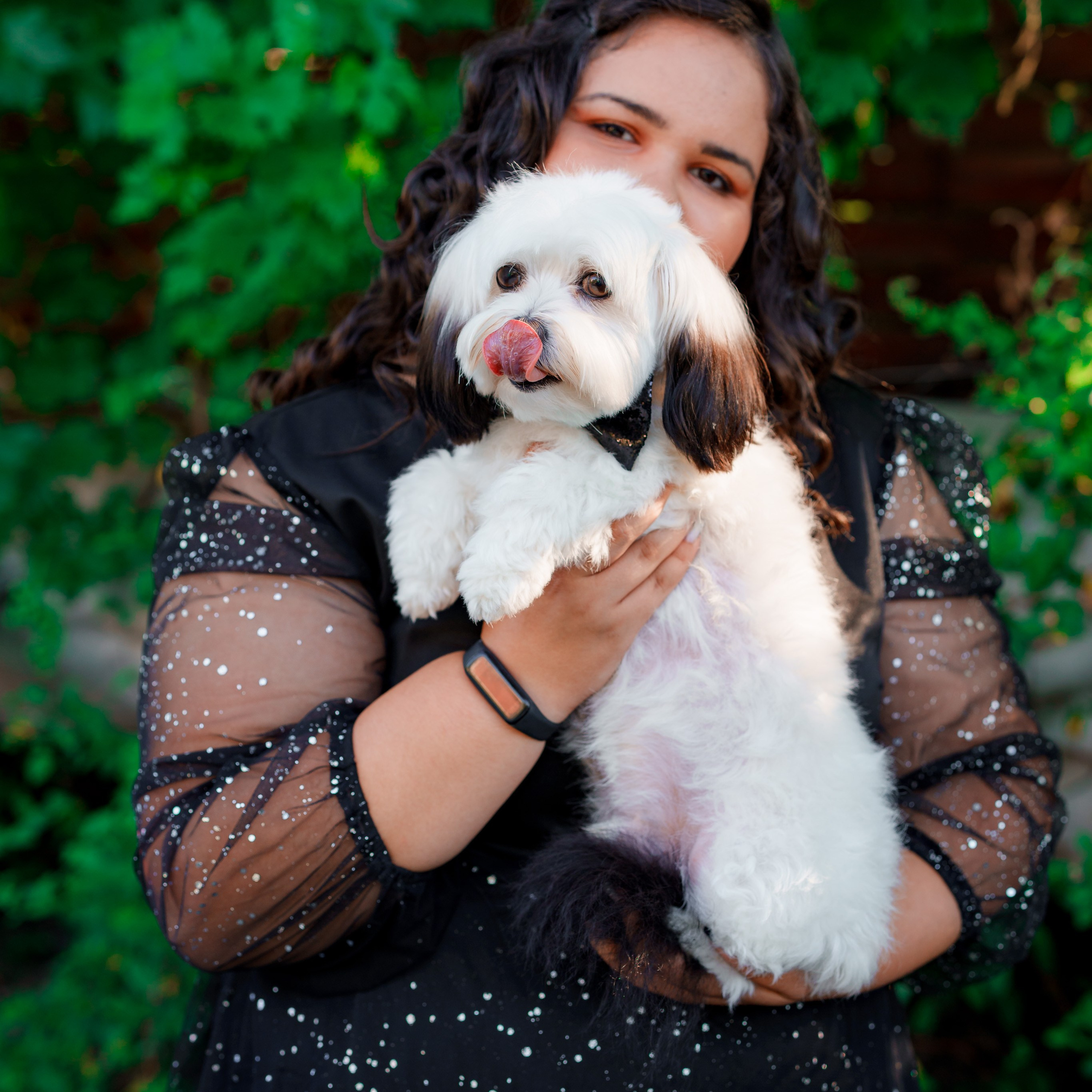 Recenzii. Trendy Albums